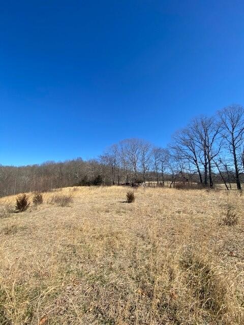 7 Reeder Town Road Byrdstown, TN 38549 - Photo 6 of 10