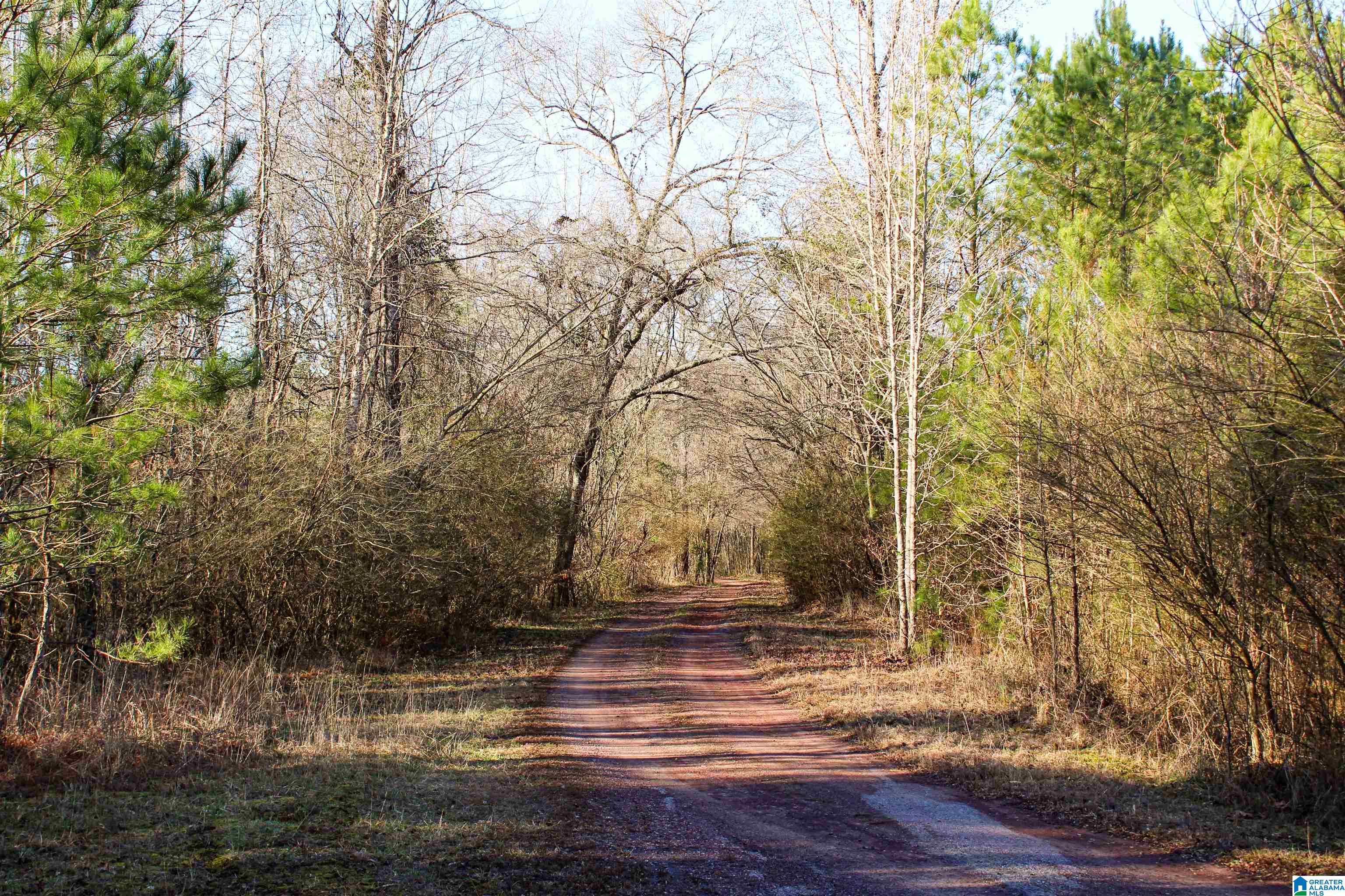 1 Sipsey Road, Unit 1 Jasper, AL 35504 - Photo 37 of 47 Gallery Image 37