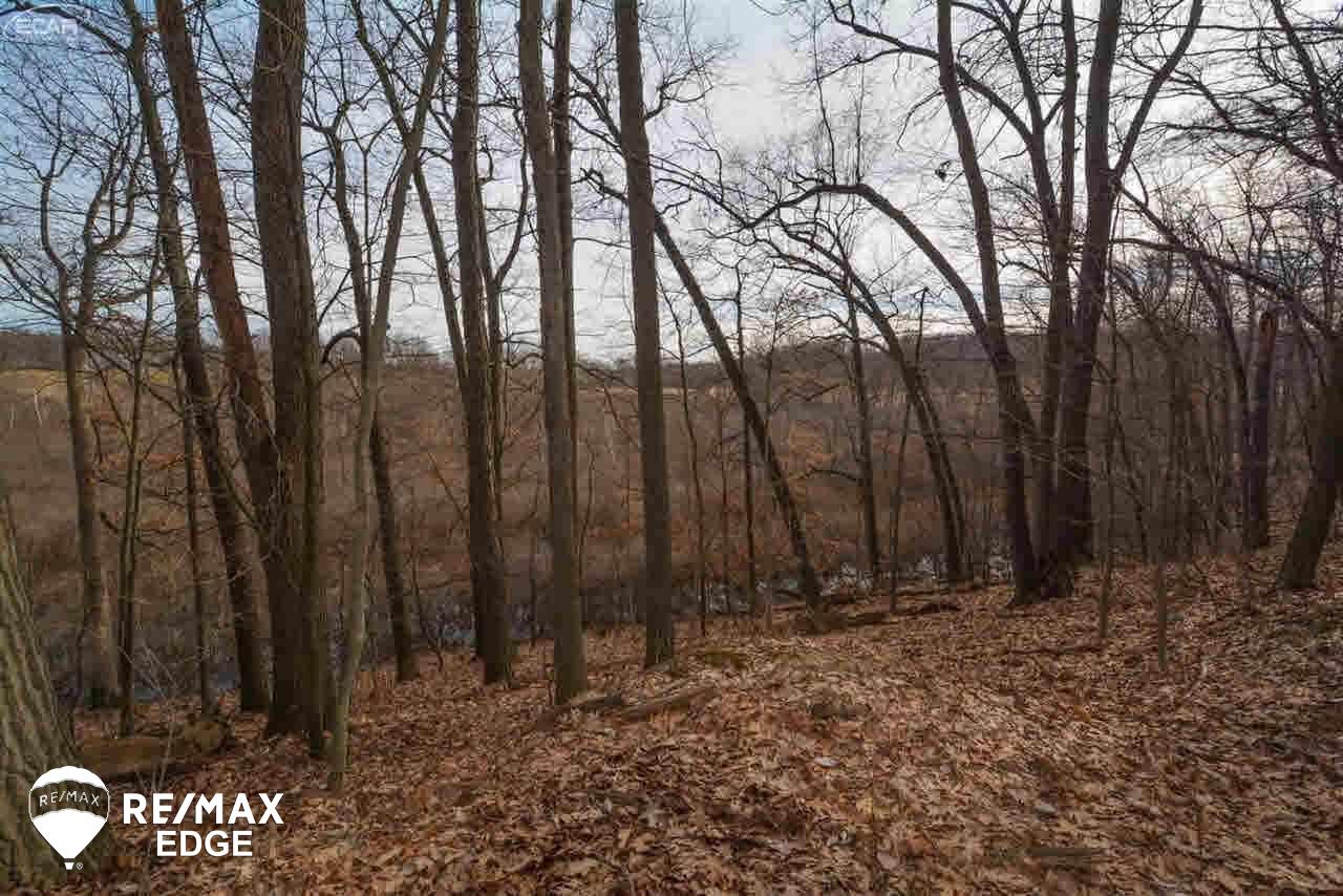 0 Timberwolf Court Fenton, MI 48430 - Photo 8 of 8 21268232-7.JPG