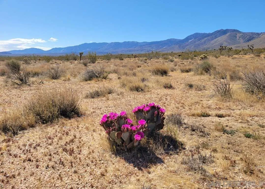 0 Joshua Road, Unit 1 Apple Valley, CA 92308 - Photo 1 of 6 a view of a field with a mountain in the background