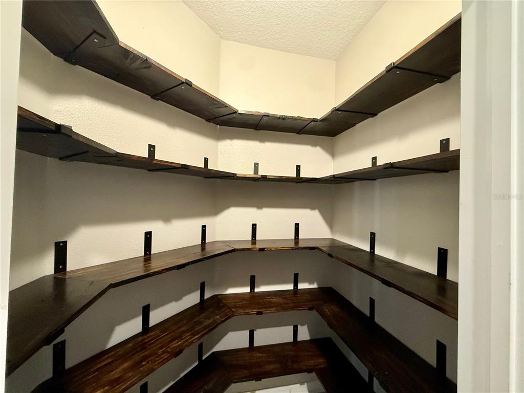 10409 Cardera Drive Riverview, FL 33578 - Photo 18 of 60