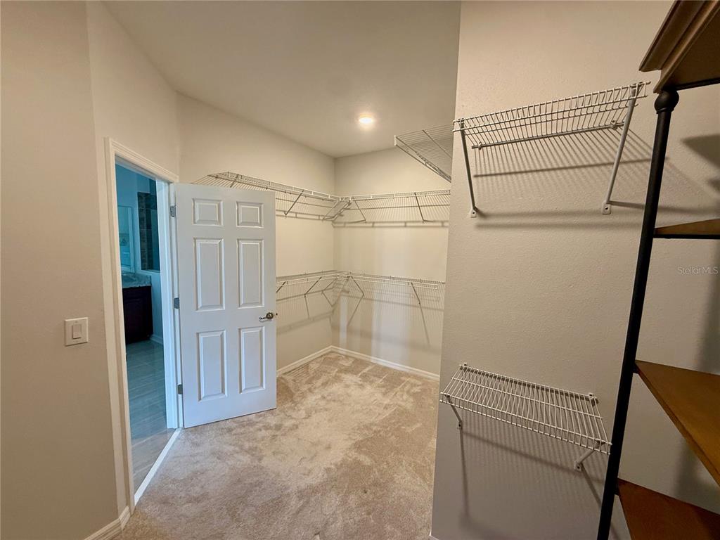 10409 Cardera Drive Riverview, FL 33578 - Photo 26 of 60