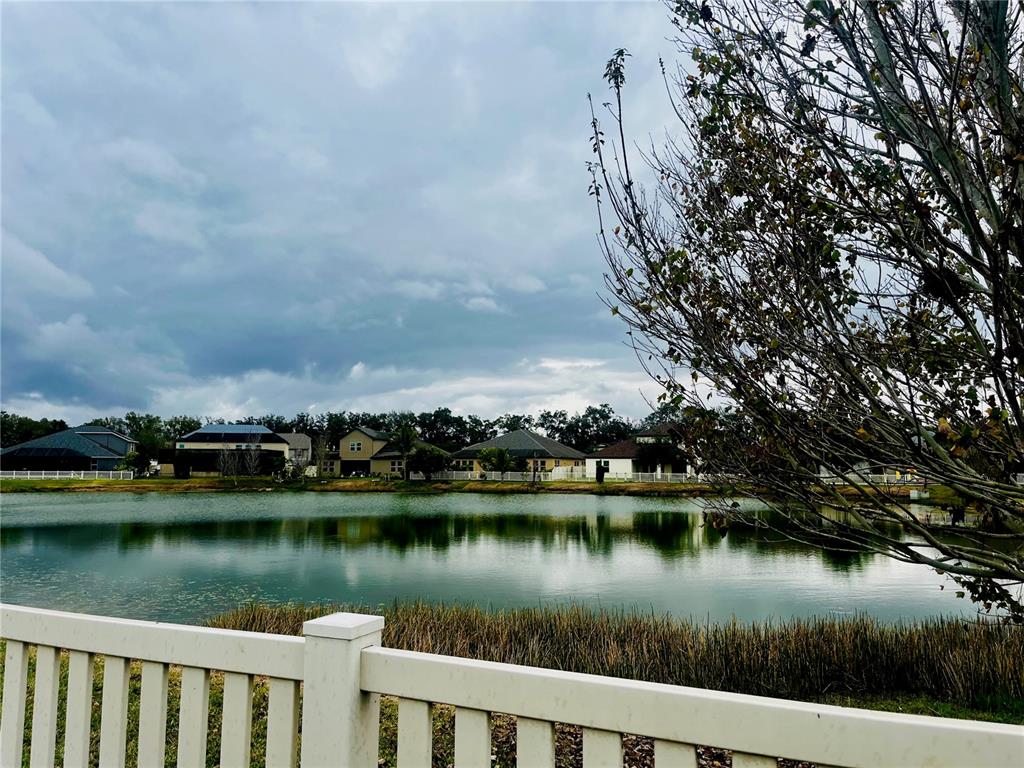 10409 Cardera Drive Riverview, FL 33578 - Photo 38 of 60