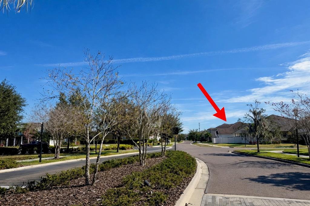 10409 Cardera Drive Riverview, FL 33578 - Photo 41 of 60