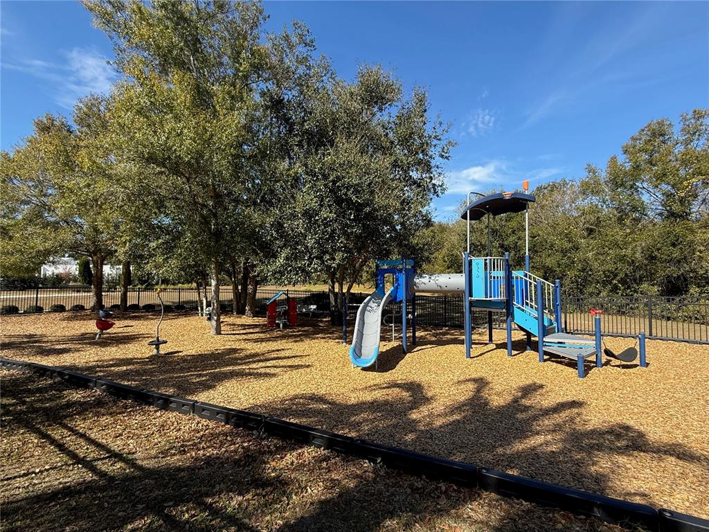 10409 Cardera Drive Riverview, FL 33578 - Photo 44 of 60