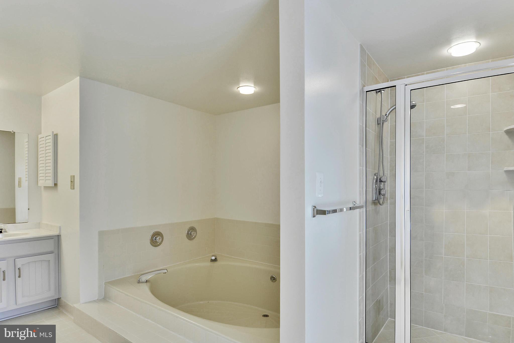 9500 Reach Road Potomac, MD 20854 - Photo 21 of 30 Bath (Master)