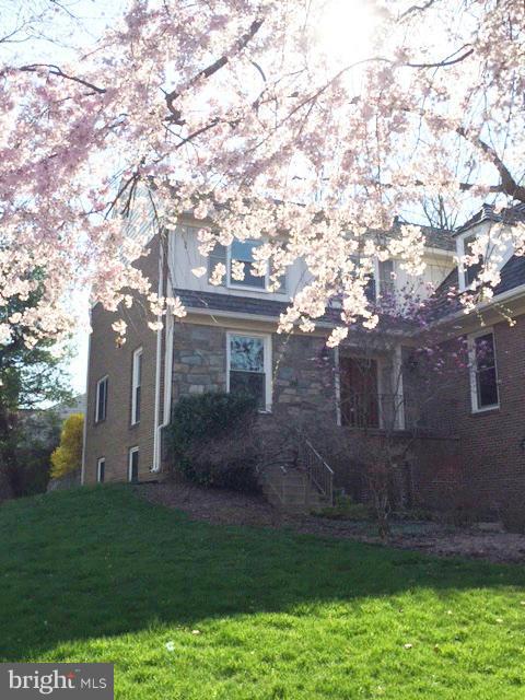 9500 Reach Road Potomac, MD 20854 - Photo 30 of 30 Cherry Blossom Time