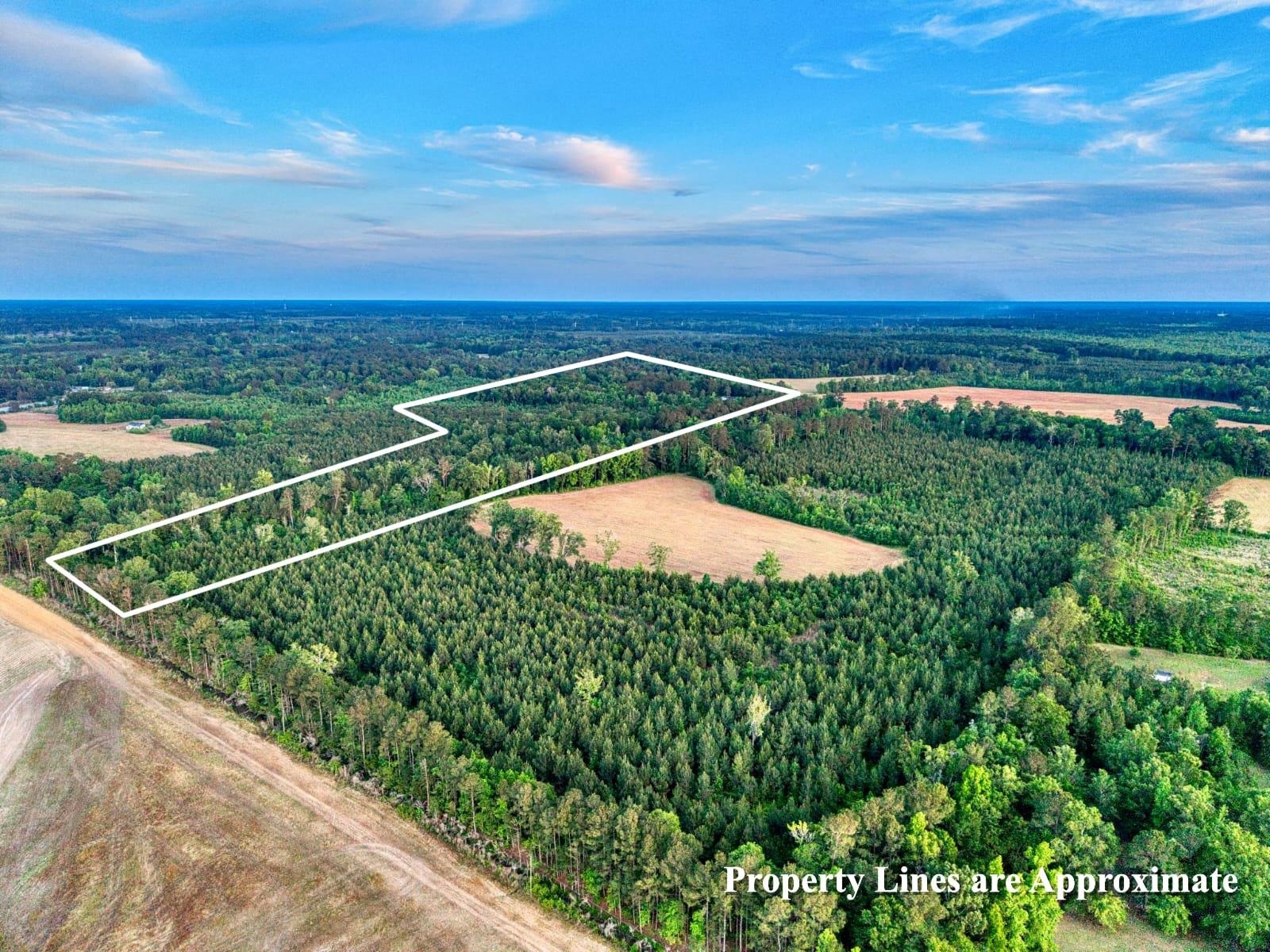 240 Guess Road Greeleyville, SC 29056 - Photo 2 of 4