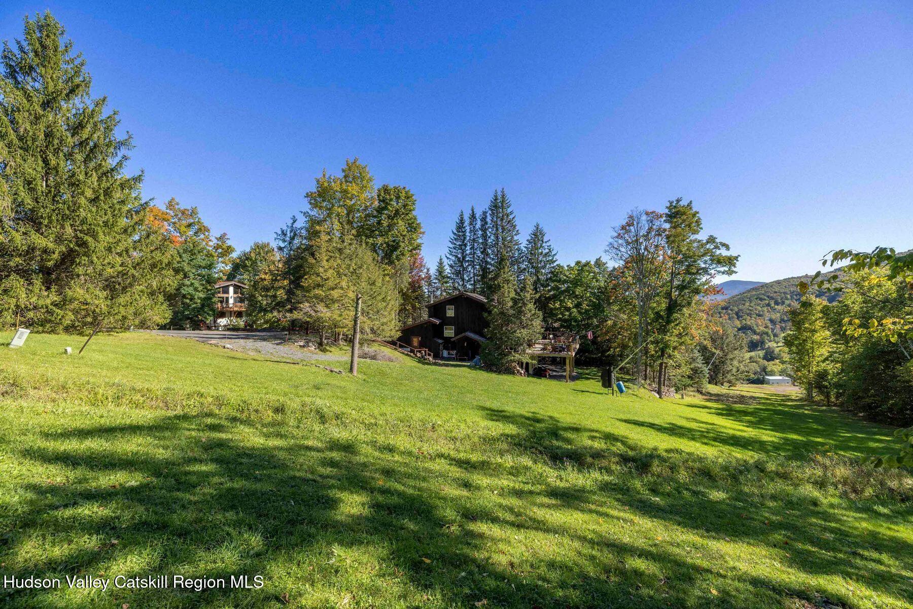 90 Club Road Windham, NY 12496 - Photo 56 of 64 photo_online_014