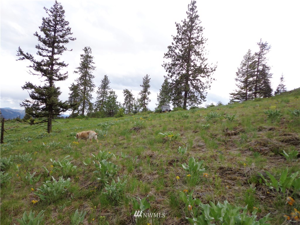 45 East Knob Hill Road Republic, WA 99166 - Photo 2 of 5