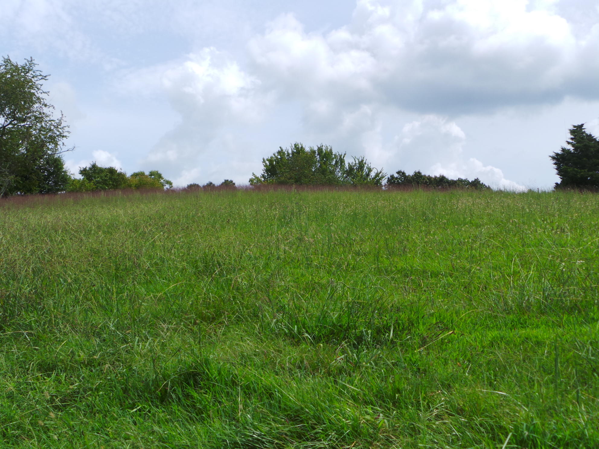 Tbd Devault Bridge Road, Unit 2 Piney Flats, TN 37686 - Photo 1 of 28 1