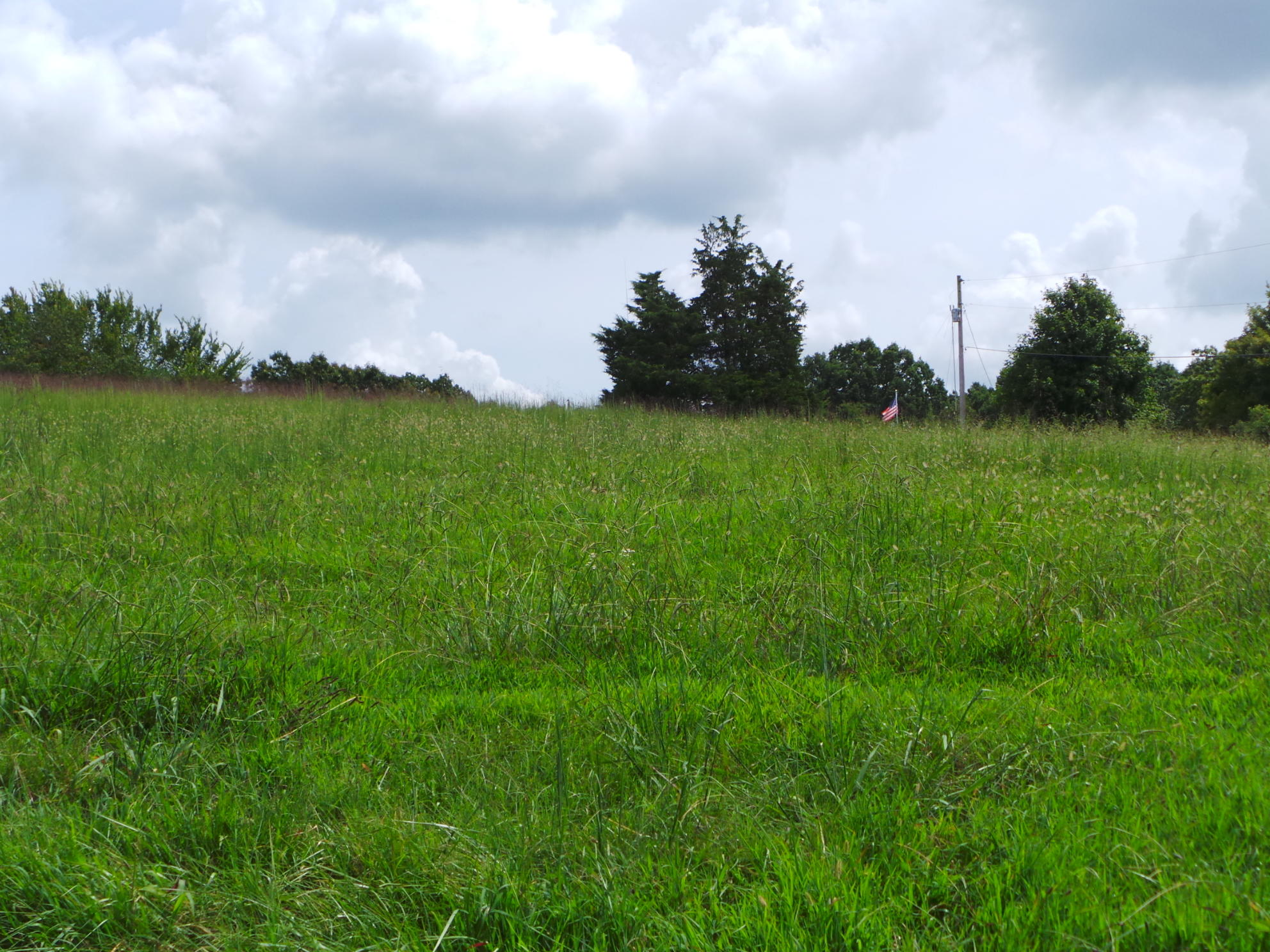 Tbd Devault Bridge Road, Unit 2 Piney Flats, TN 37686 - Photo 11 of 28 11