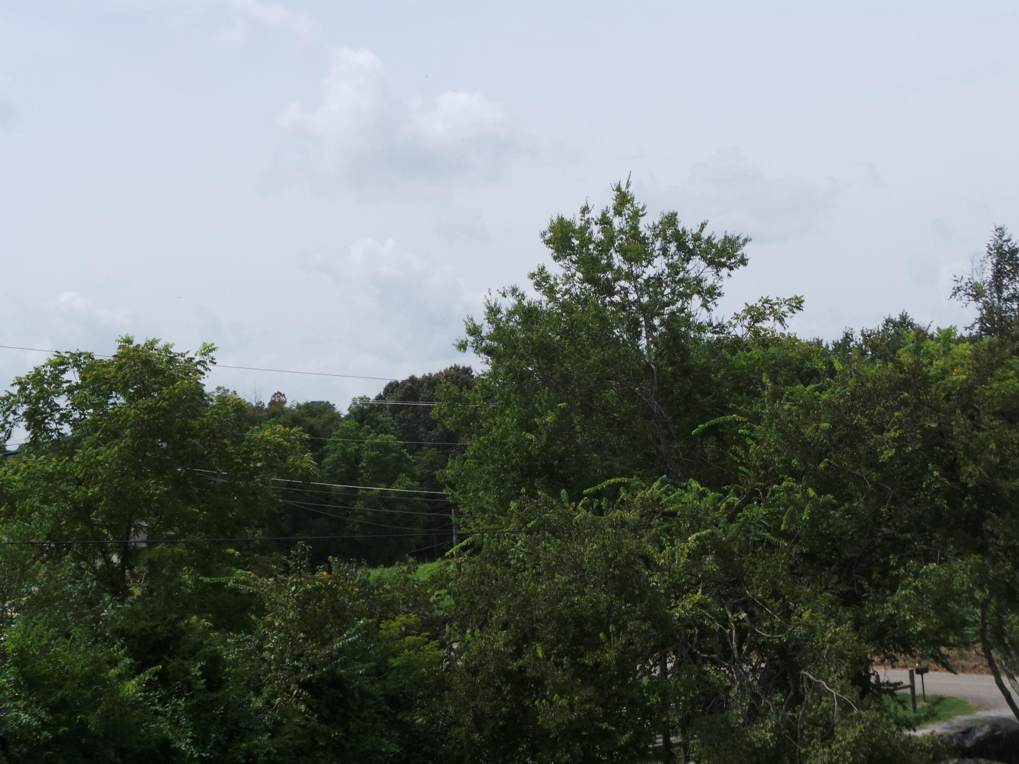 Tbd Devault Bridge Road, Unit 2 Piney Flats, TN 37686 - Photo 15 of 28 15