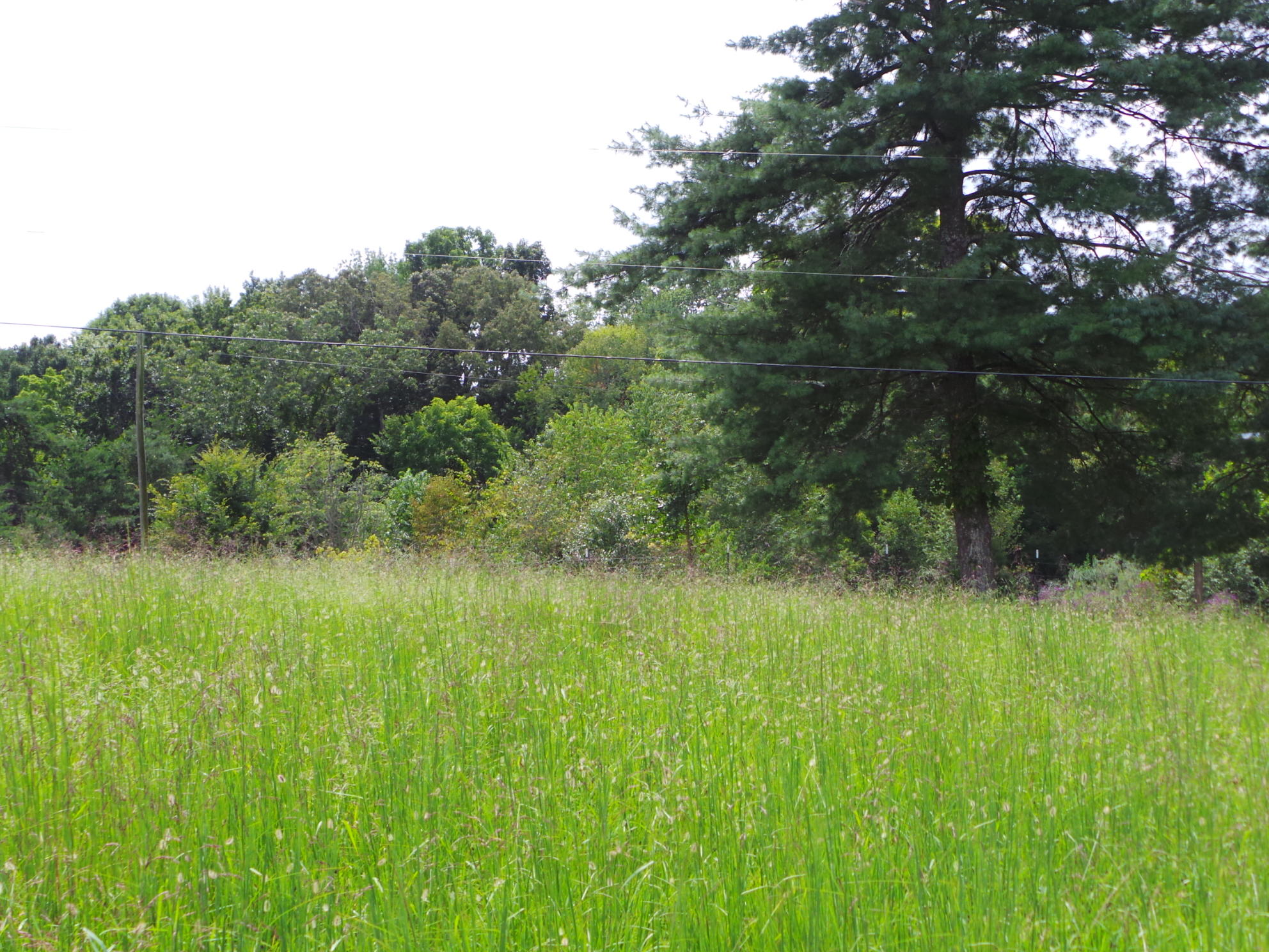 Tbd Devault Bridge Road, Unit 2 Piney Flats, TN 37686 - Photo 16 of 28 16