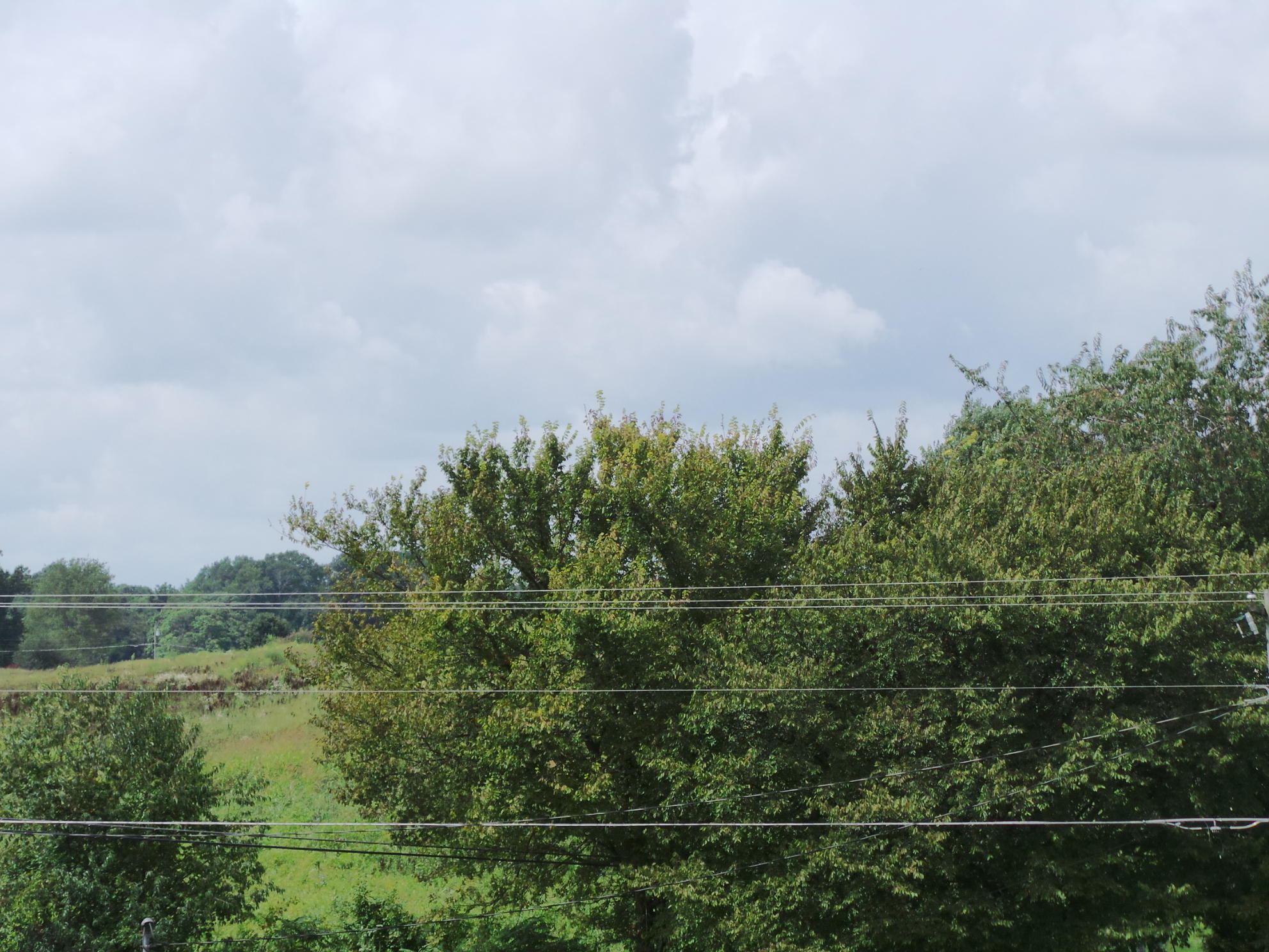 Tbd Devault Bridge Road, Unit 2 Piney Flats, TN 37686 - Photo 20 of 28 20