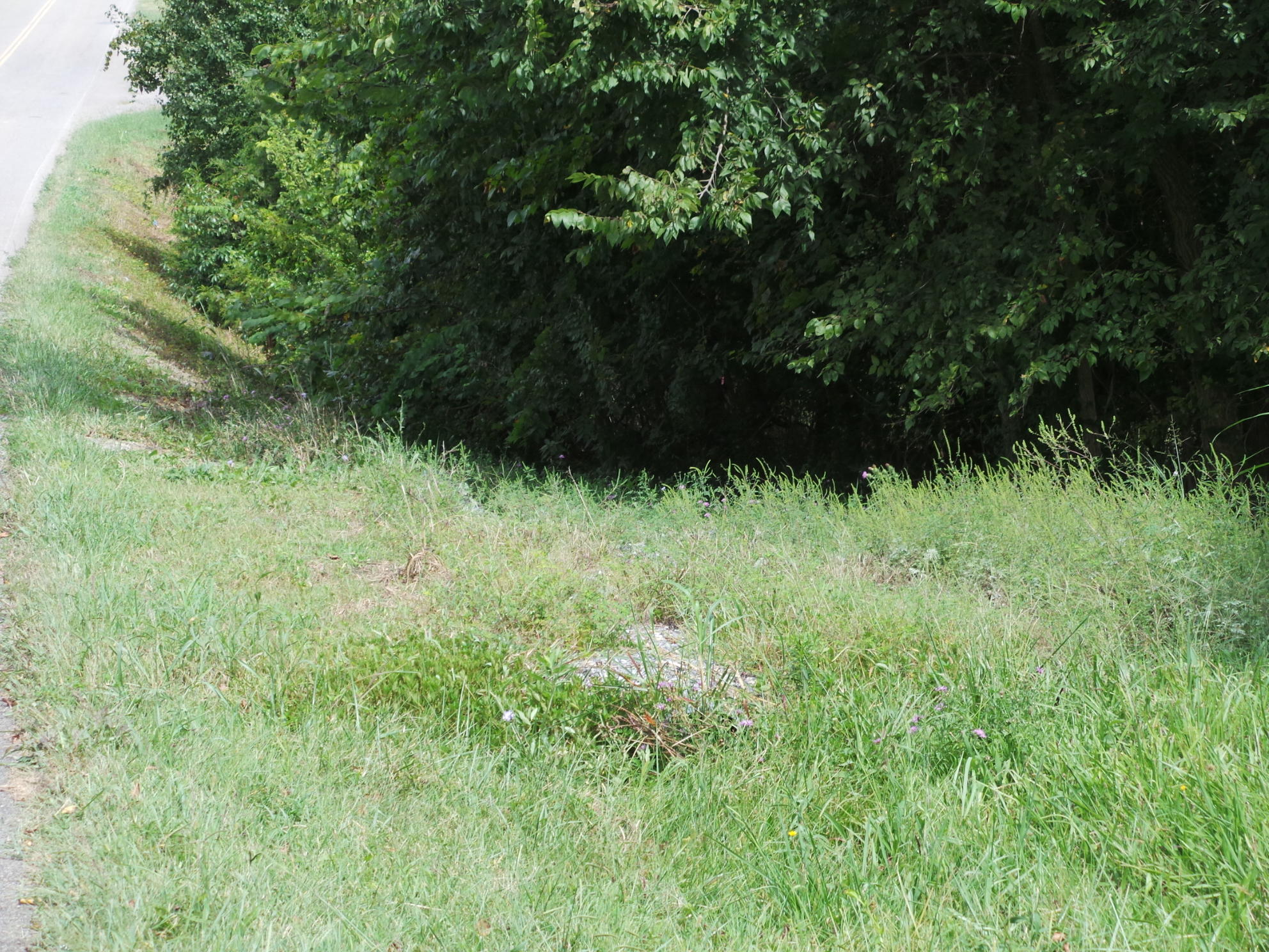 Tbd Devault Bridge Road, Unit 2 Piney Flats, TN 37686 - Photo 21 of 28 21