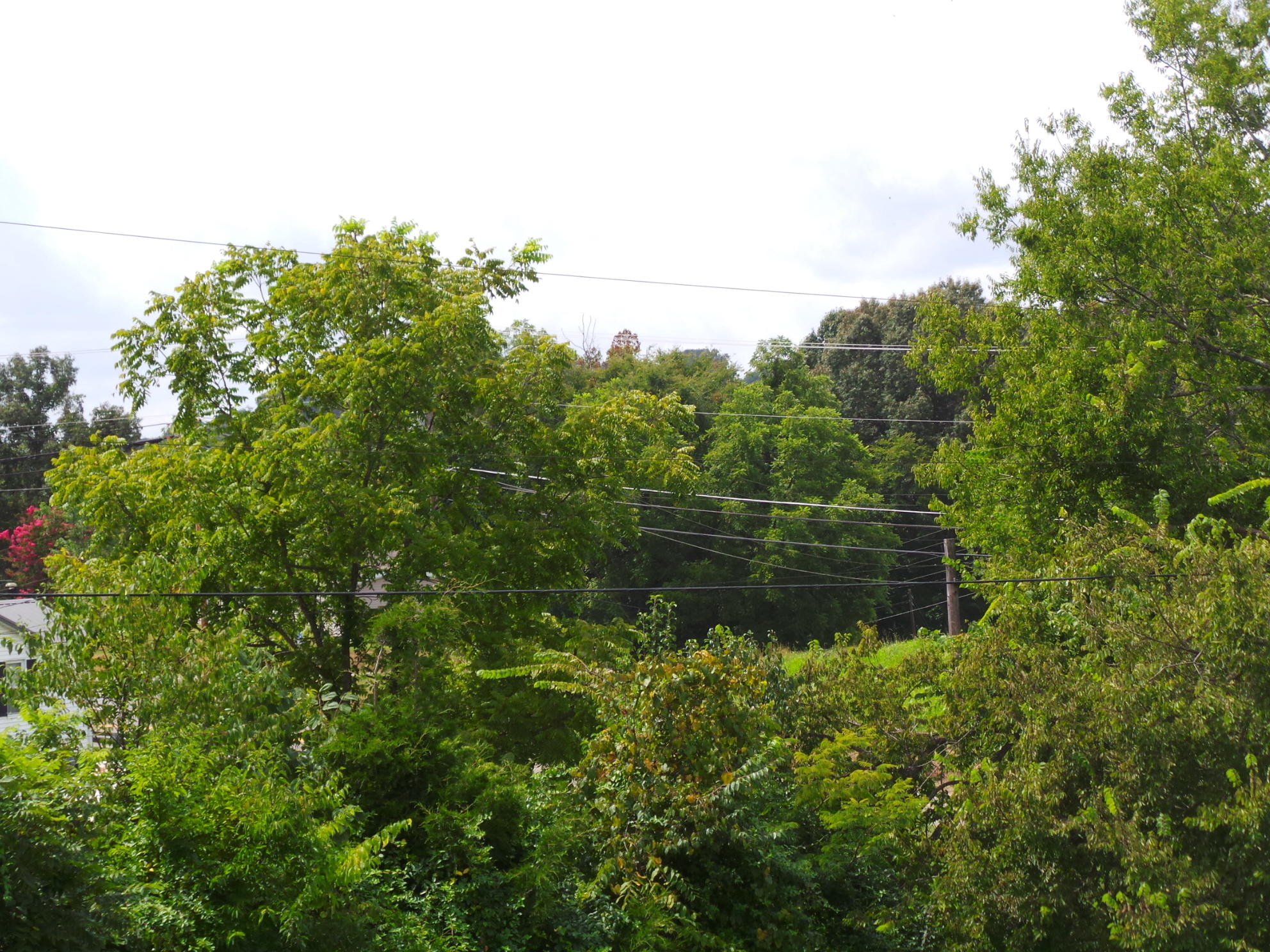 Tbd Devault Bridge Road, Unit 2 Piney Flats, TN 37686 - Photo 25 of 28 25