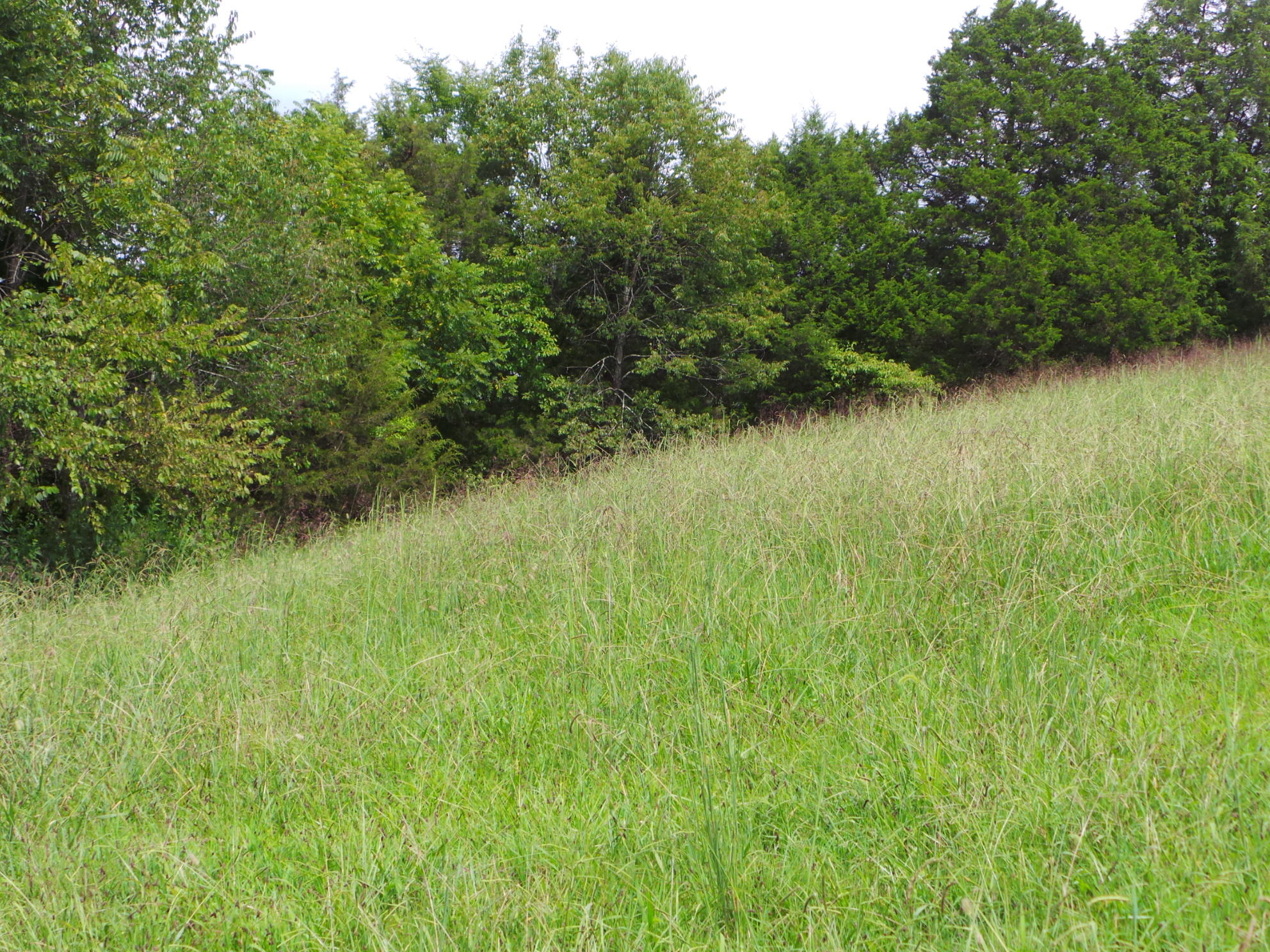 Tbd Devault Bridge Road, Unit 2 Piney Flats, TN 37686 - Photo 6 of 28 6