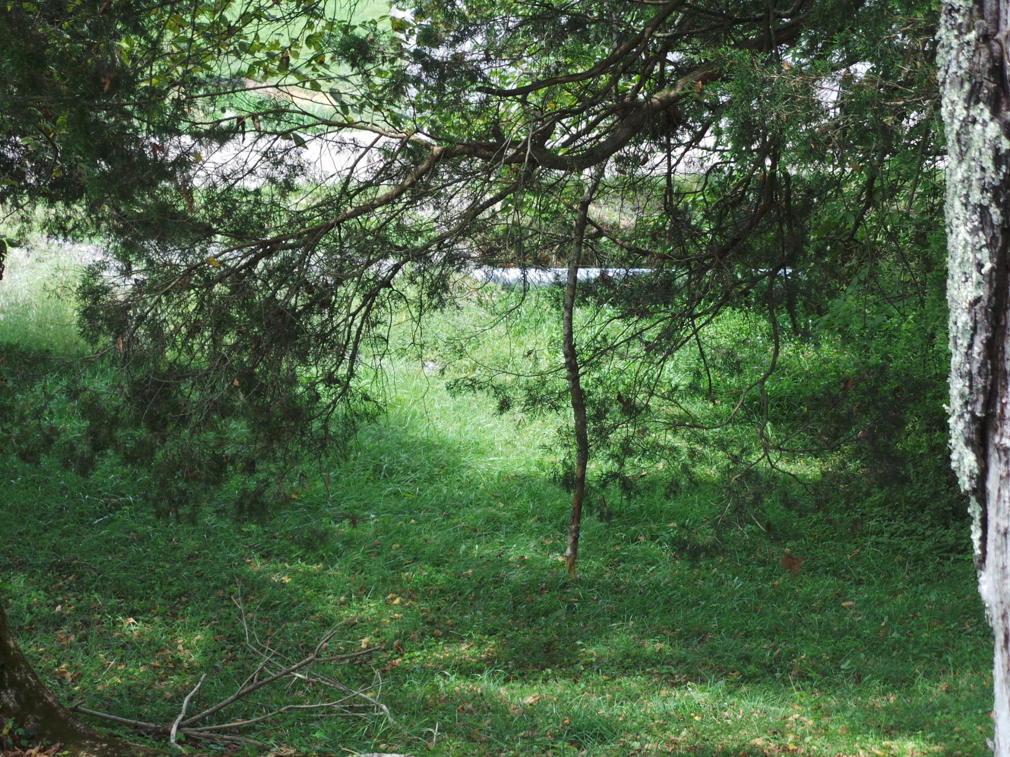 Tbd Devault Bridge Road, Unit 2 Piney Flats, TN 37686 - Photo 7 of 28 7