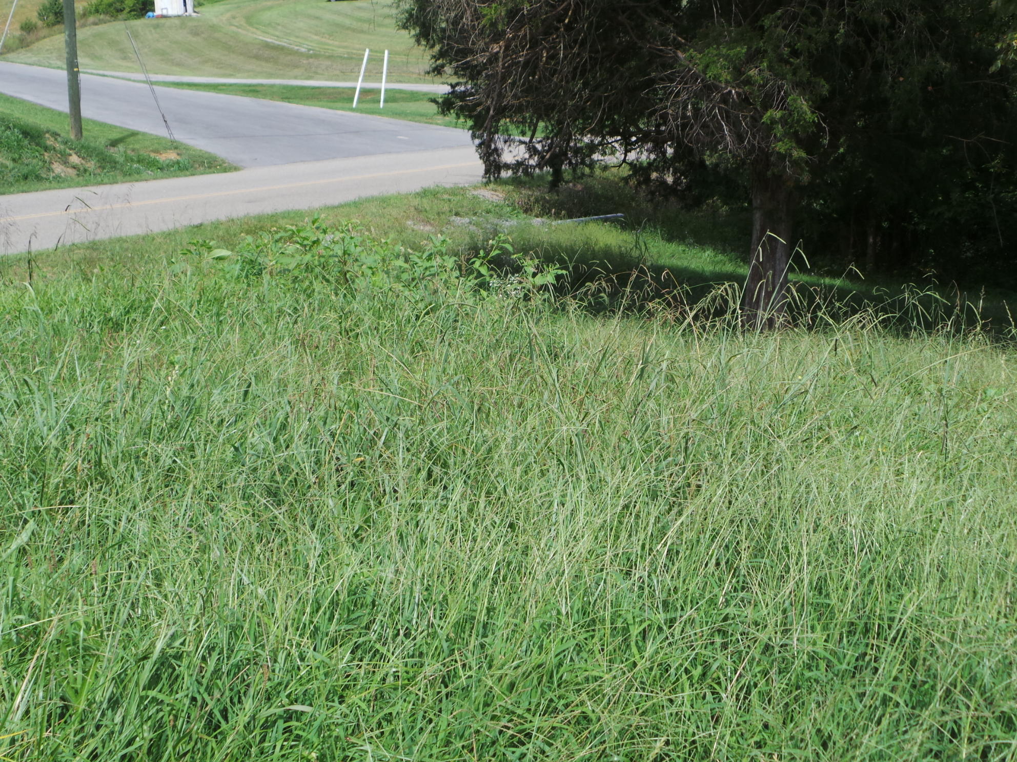 Tbd Devault Bridge Road, Unit 2 Piney Flats, TN 37686 - Photo 9 of 28 9