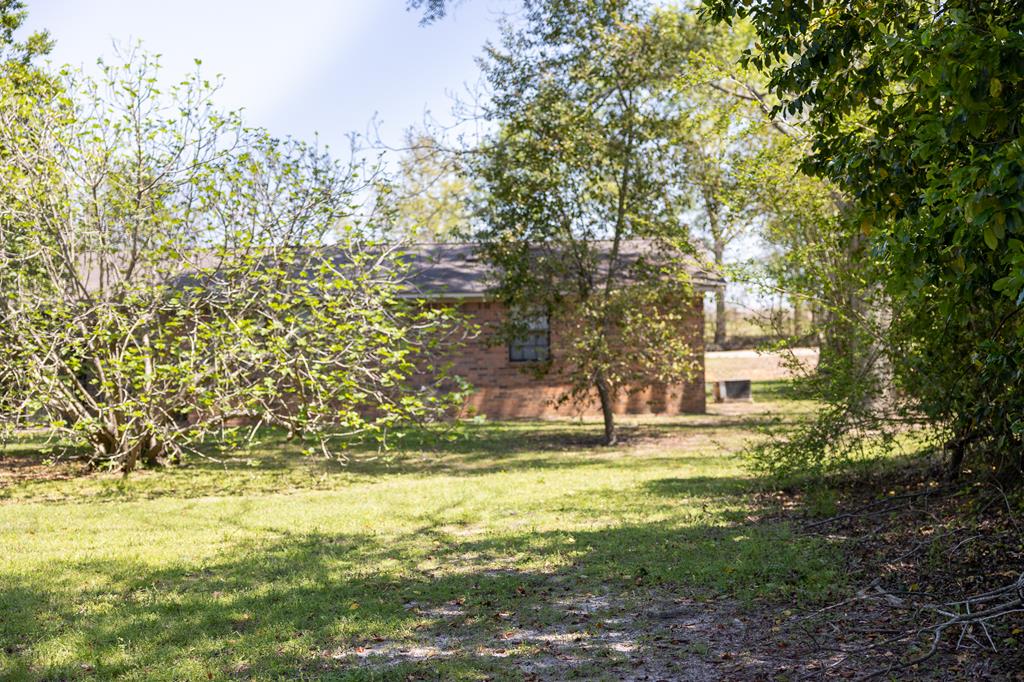 2378 Fowler Road Ashford, AL 36312 - Photo 21 of 29