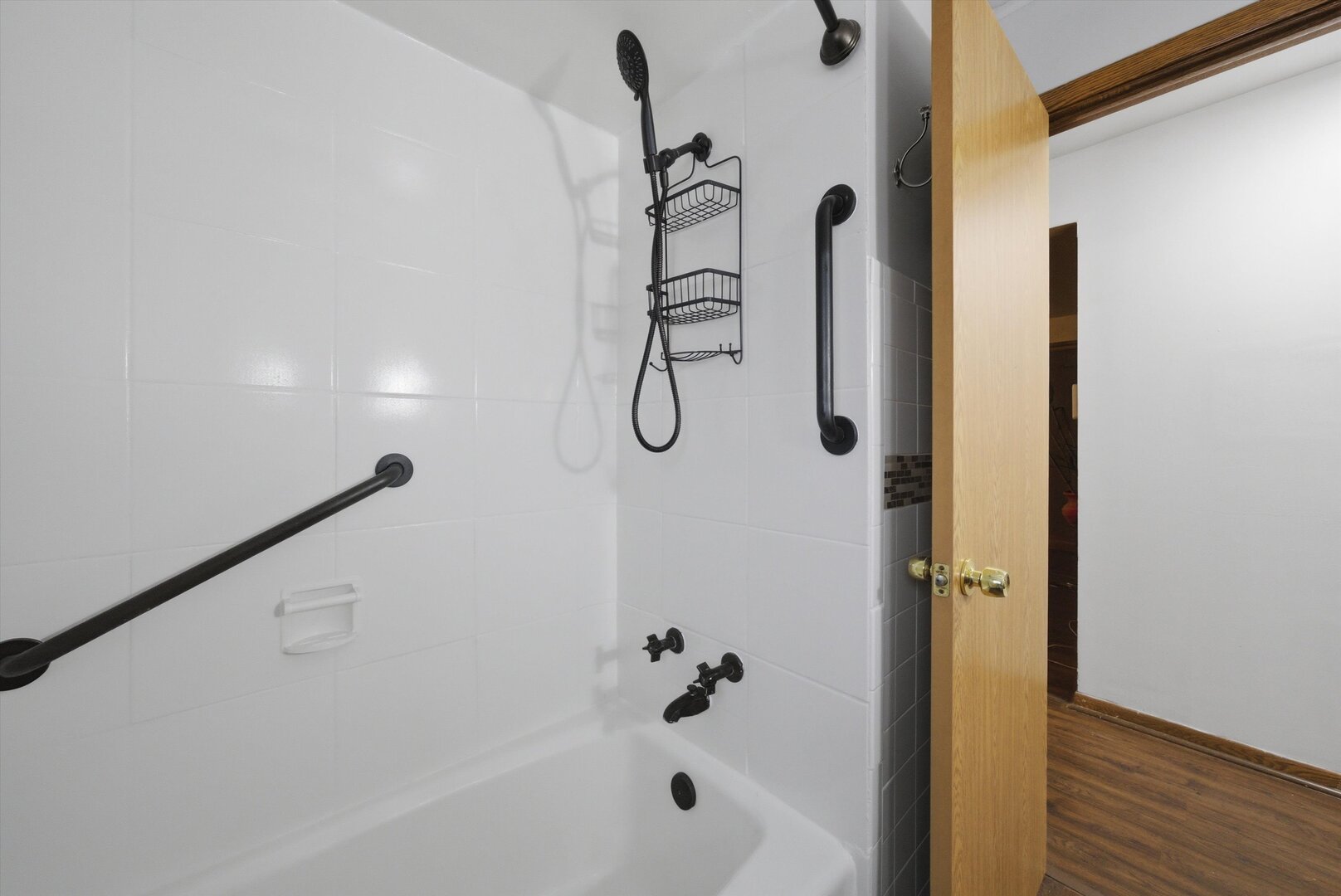3654 West 80th Street Chicago, IL 60652 - Photo 9 of 32