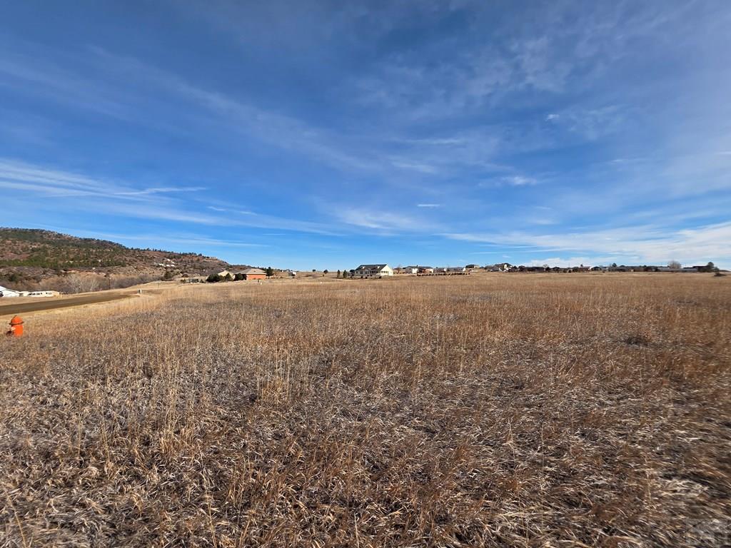 Lot 127 Stanley Avenue Rye, CO 81069 - Photo 8 of 10