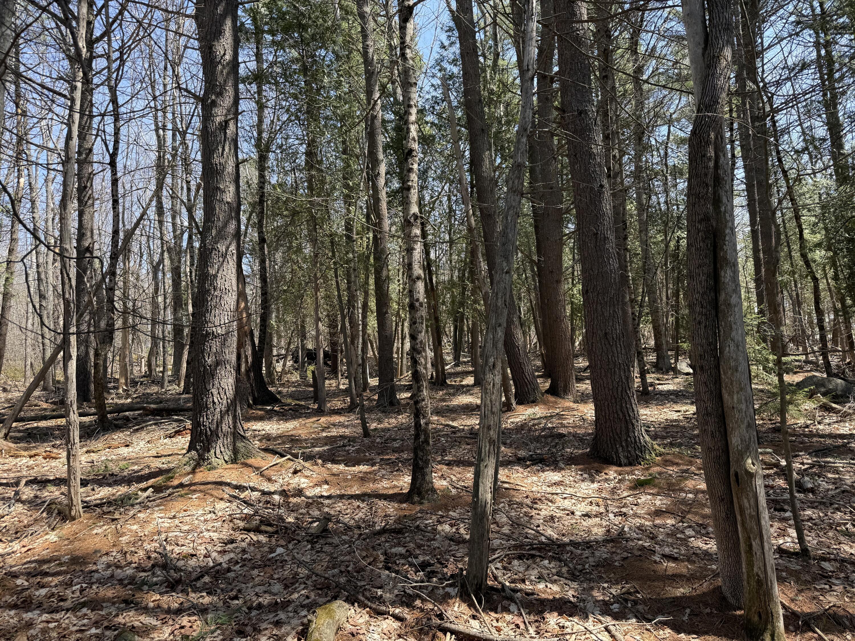 M2-l117a River Road Orrington, ME 04474 - Photo 14 of 20 Orrington16