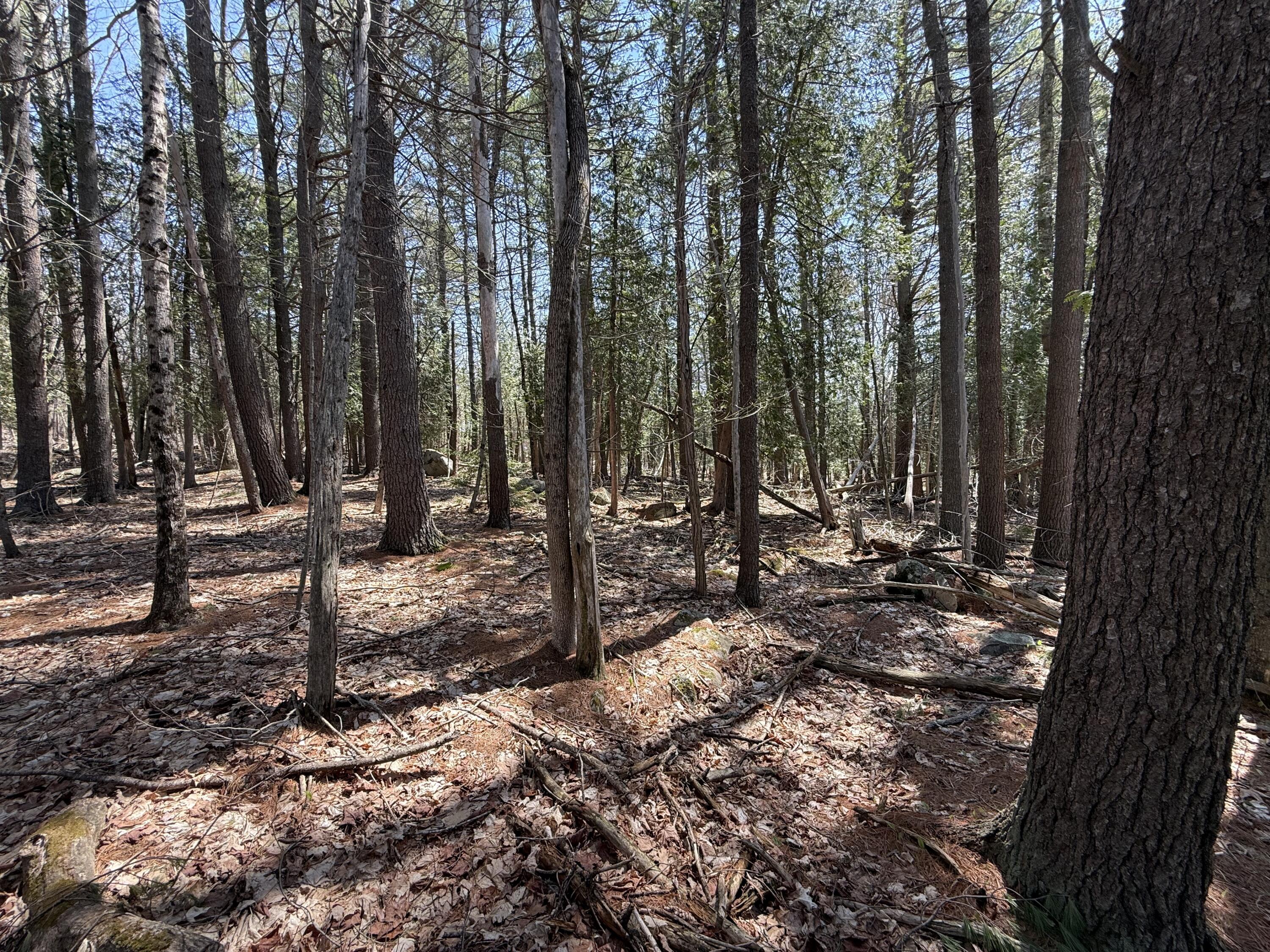 M2-l117a River Road Orrington, ME 04474 - Photo 15 of 20 Orrington18