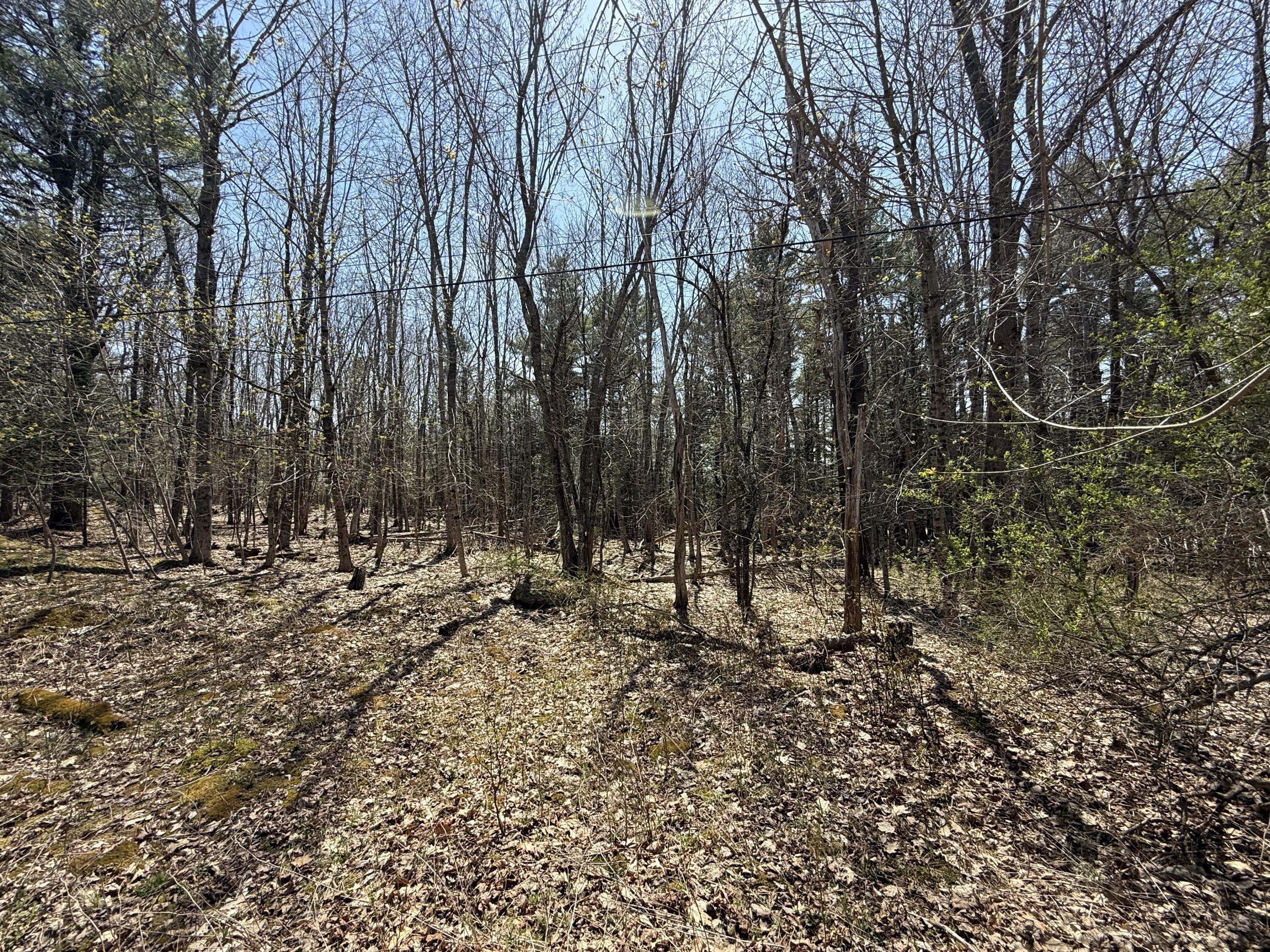 M2-l117a River Road Orrington, ME 04474 - Photo 16 of 20 Orrington23