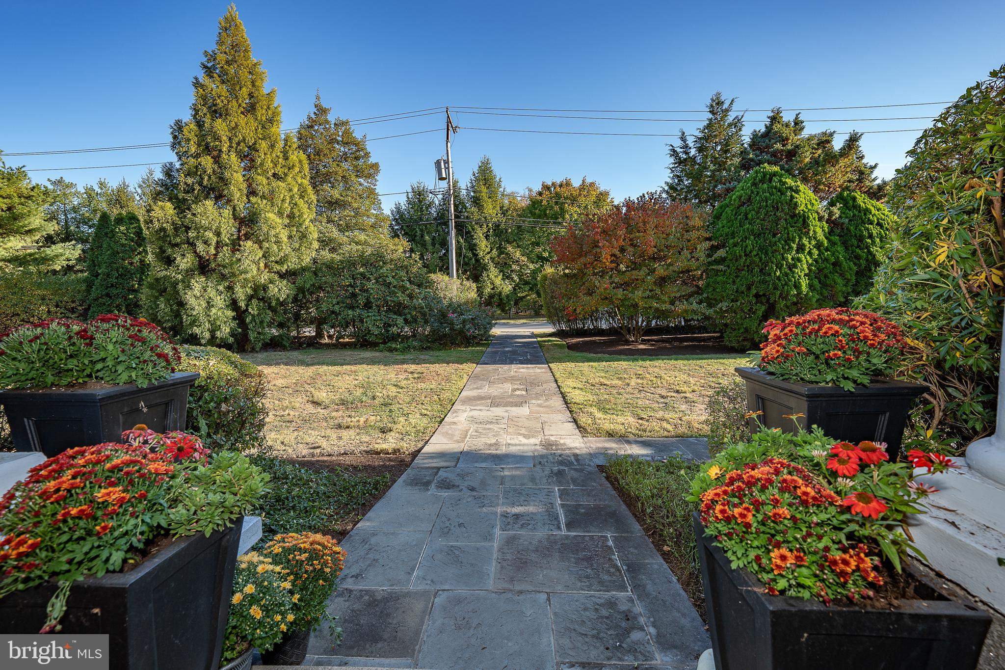 226 Fishers Road Bryn Mawr, PA 19010 - Photo 56 of 60 a view of a garden with flowers