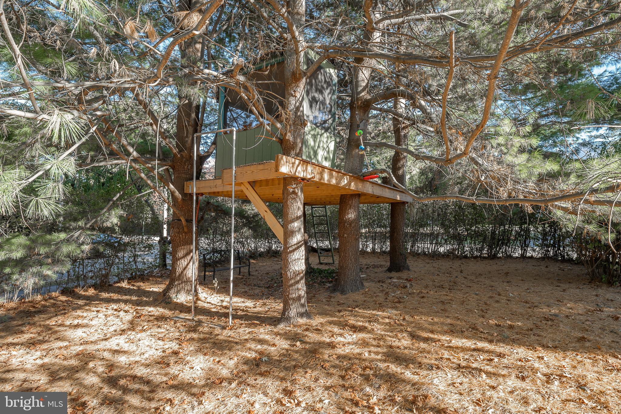 226 Fishers Road Bryn Mawr, PA 19010 - Photo 57 of 60 a backyard of a house with barbeque oven and trees