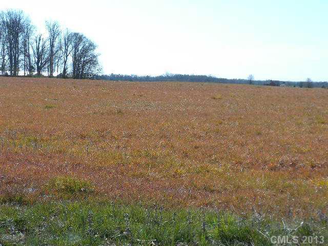 Lot 2 Fish Road Marshville, NC 28103 - Photo 1 of 1