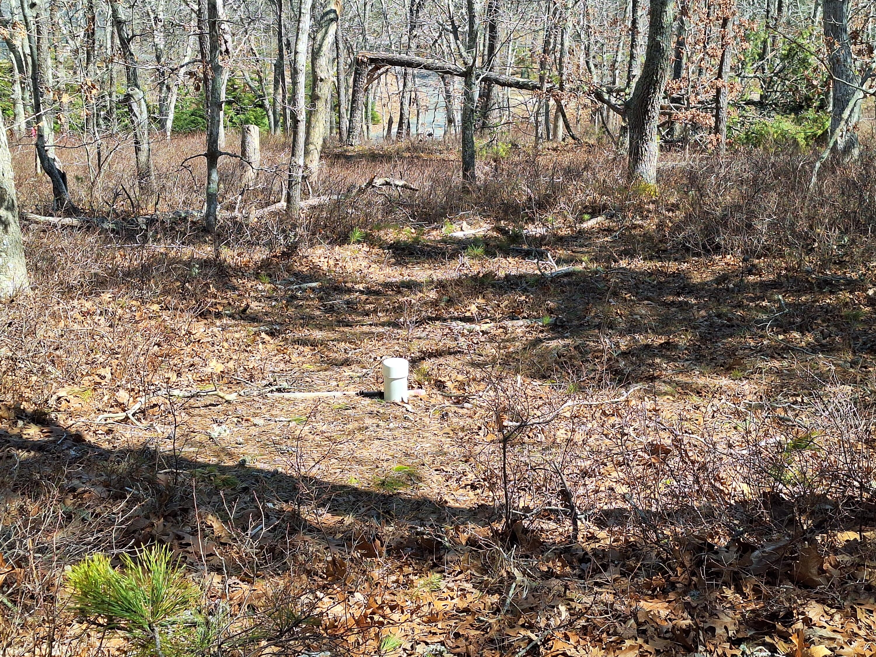 37 Oak Valley Road Wellfleet, MA 02667 - Photo 7 of 12 a view of a yard with plants