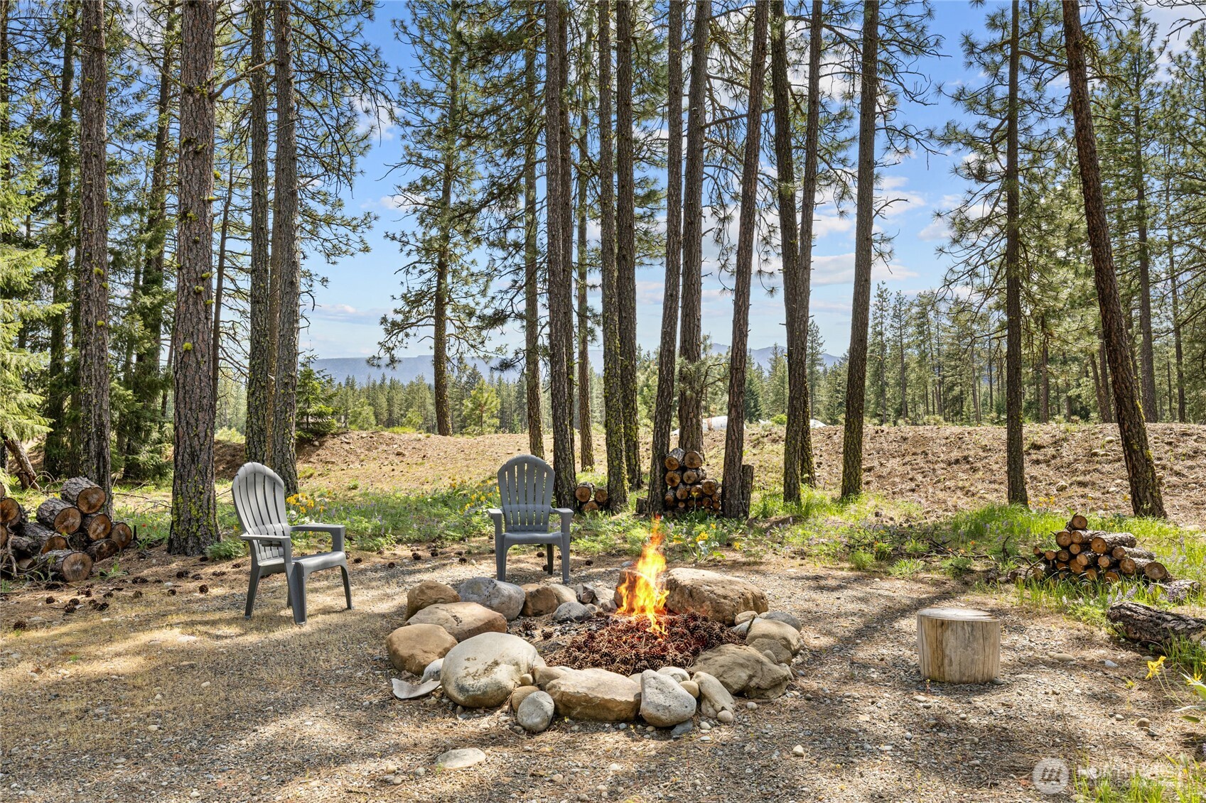 910 Bakers Road Ronald, WA 98940 - Photo 6 of 34 a view of a backyard of the house