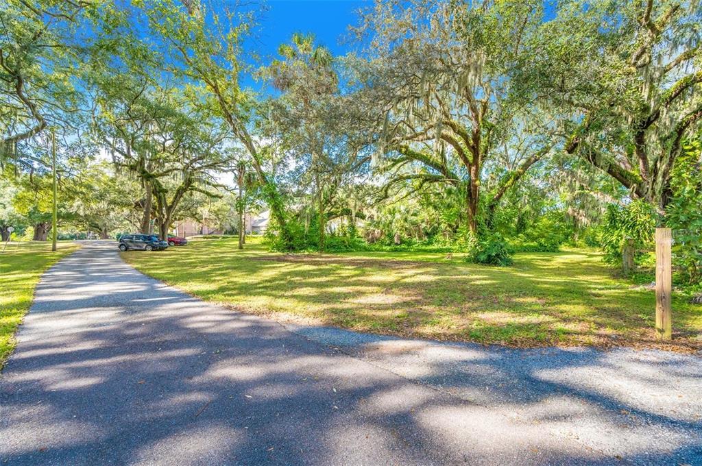 11433 Weldon Street Seffner, FL 33584 - Photo 2 of 5 a view of a swimming pool with a big yard and large trees