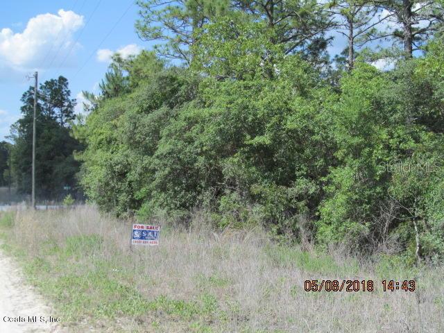 Tbd Southwest 165th Avenue Road Ocala, FL 34481 - Photo 1 of 1 IMG_3858