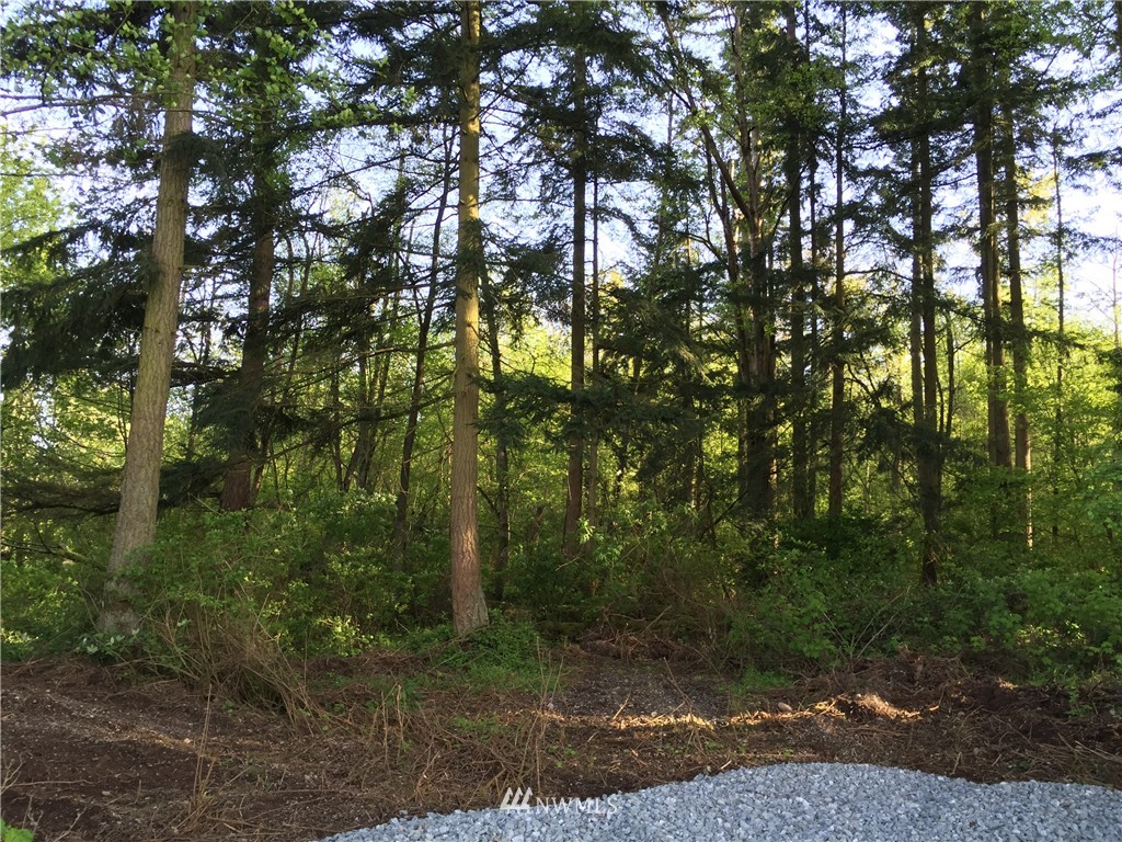 3 Rector Road Mount Vernon, WA 98273 - Photo 8 of 14 Gallery Image 8