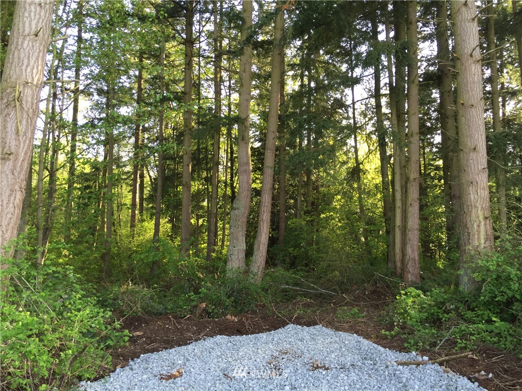 3 Rector Road Mount Vernon, WA 98273 - Photo 9 of 14 Gallery Image 9