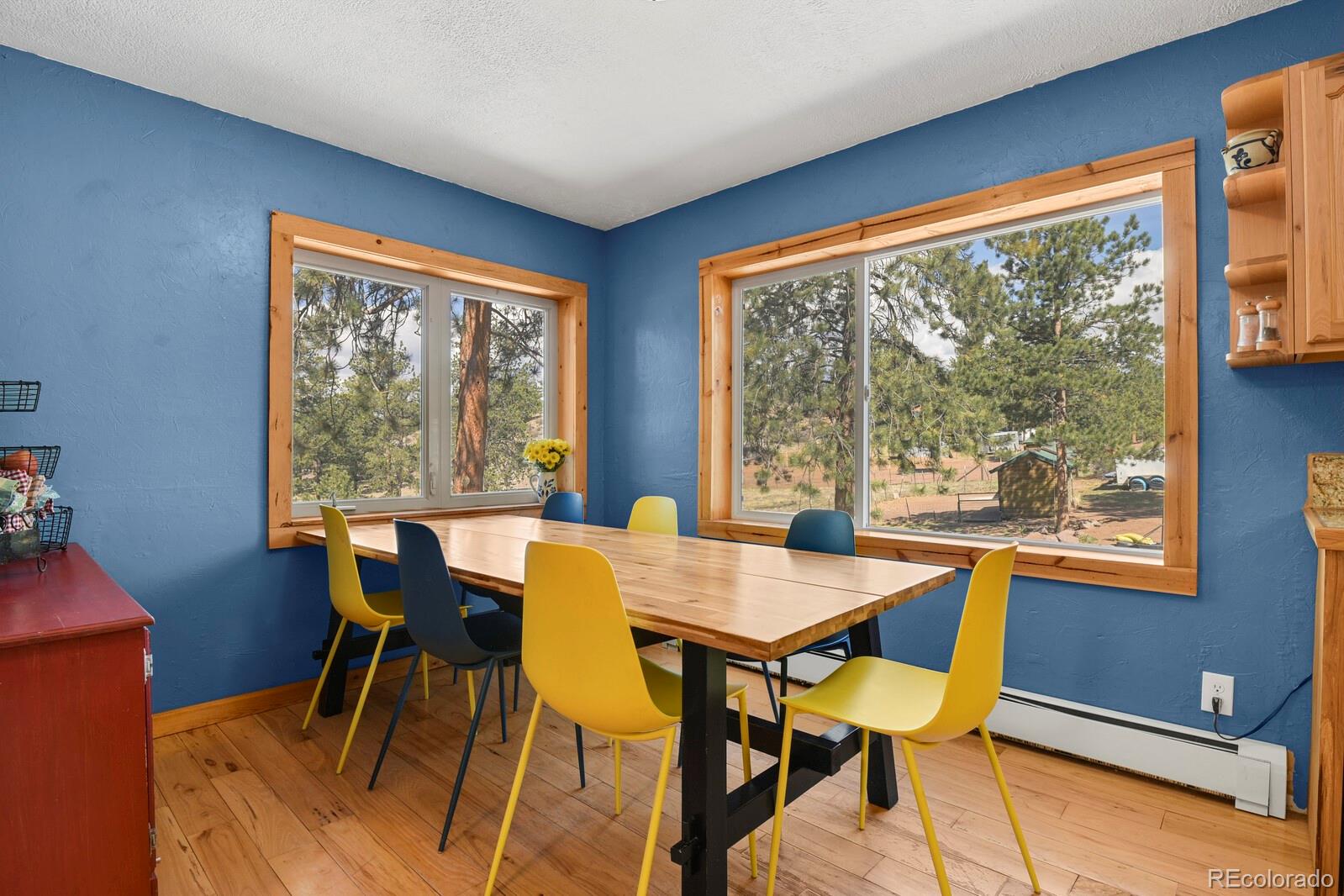 881 Trail Creek Road Lake George, CO 80827 - Photo 12 of 46