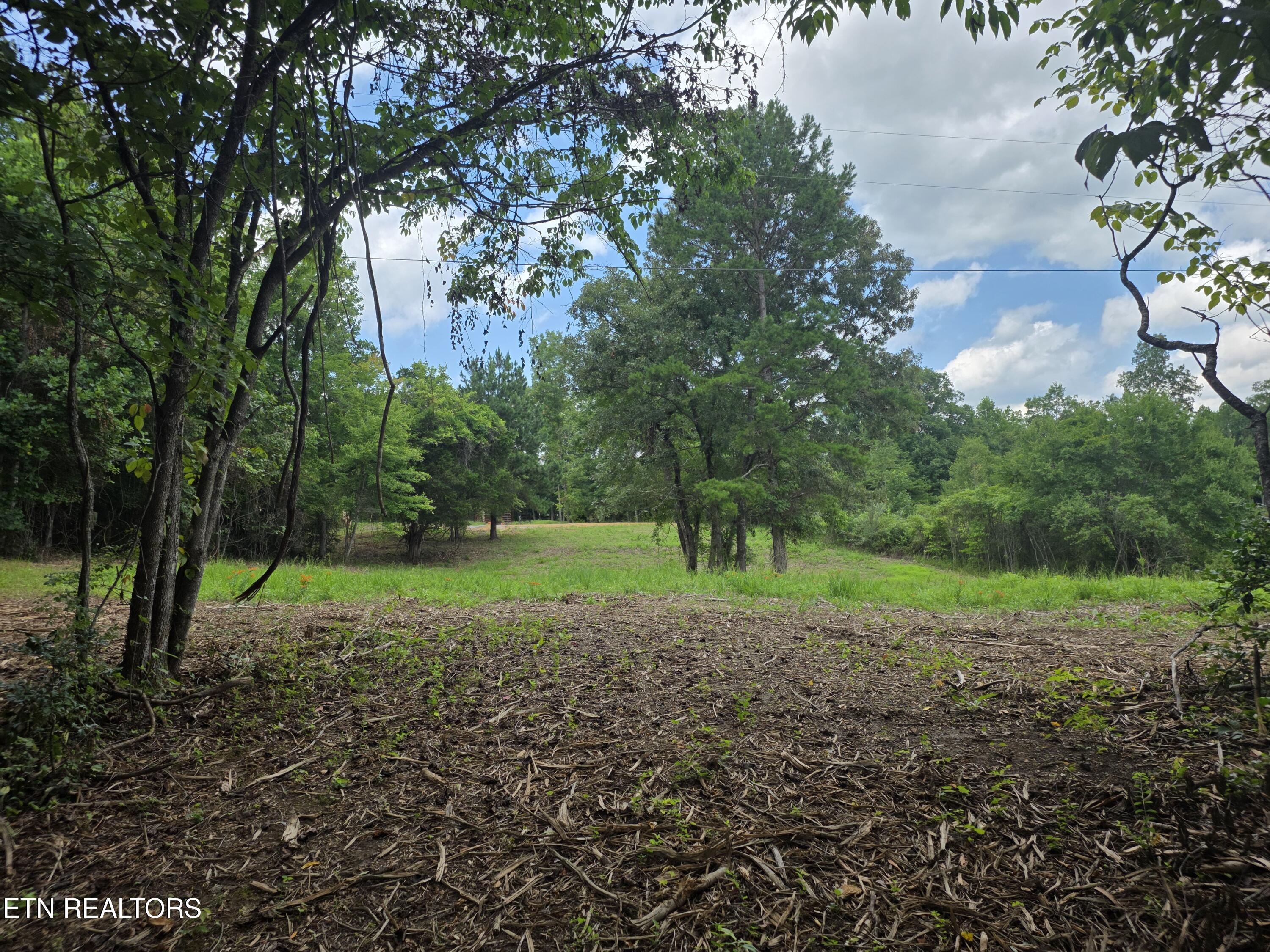 Sheep Ranch Rd Road Robbins, TN 37852 - Photo 11 of 26 20260723_151254