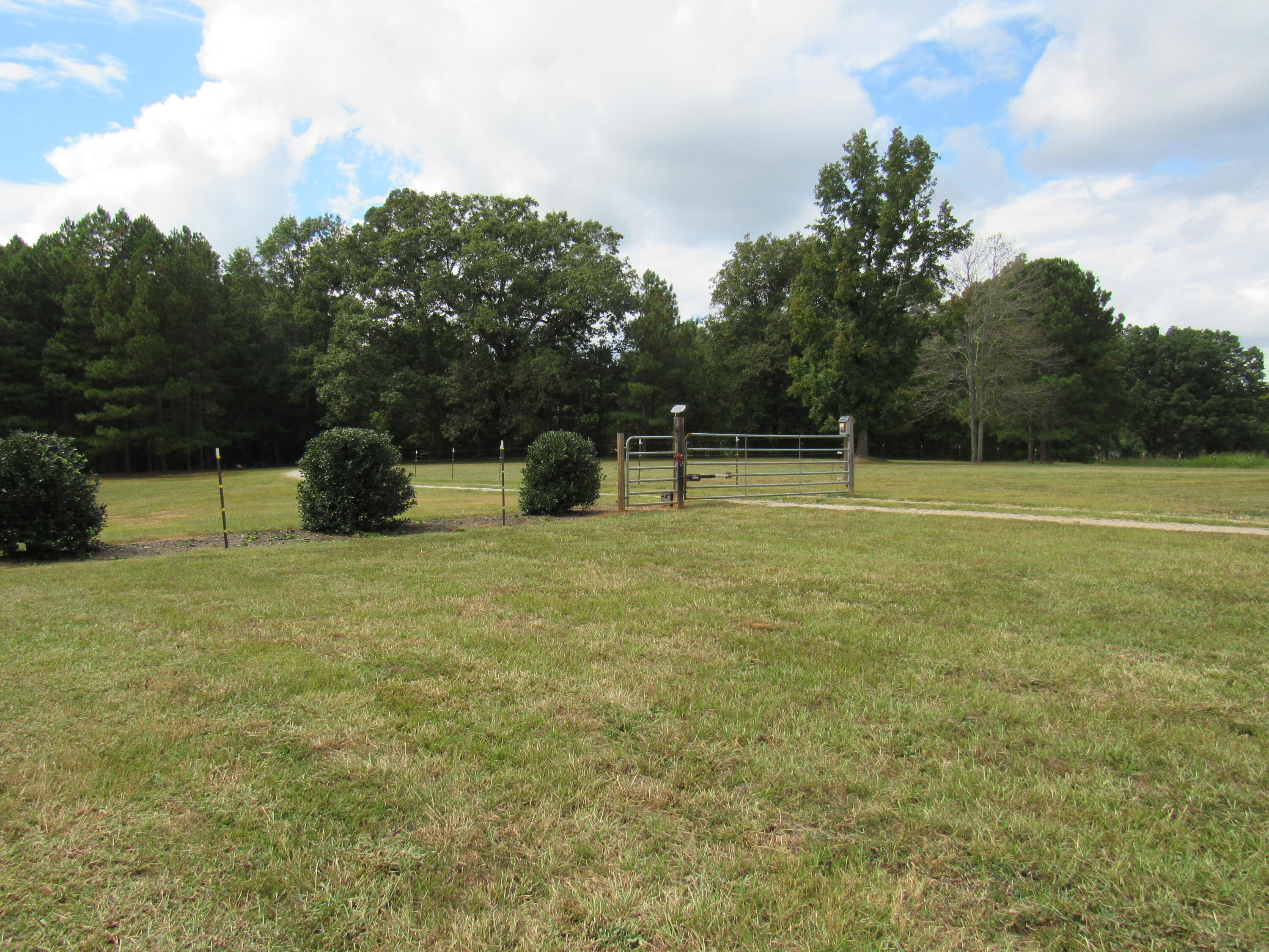 33 Simpkins Road Johnston, SC 29832 - Photo 59 of 70 IMG_2627