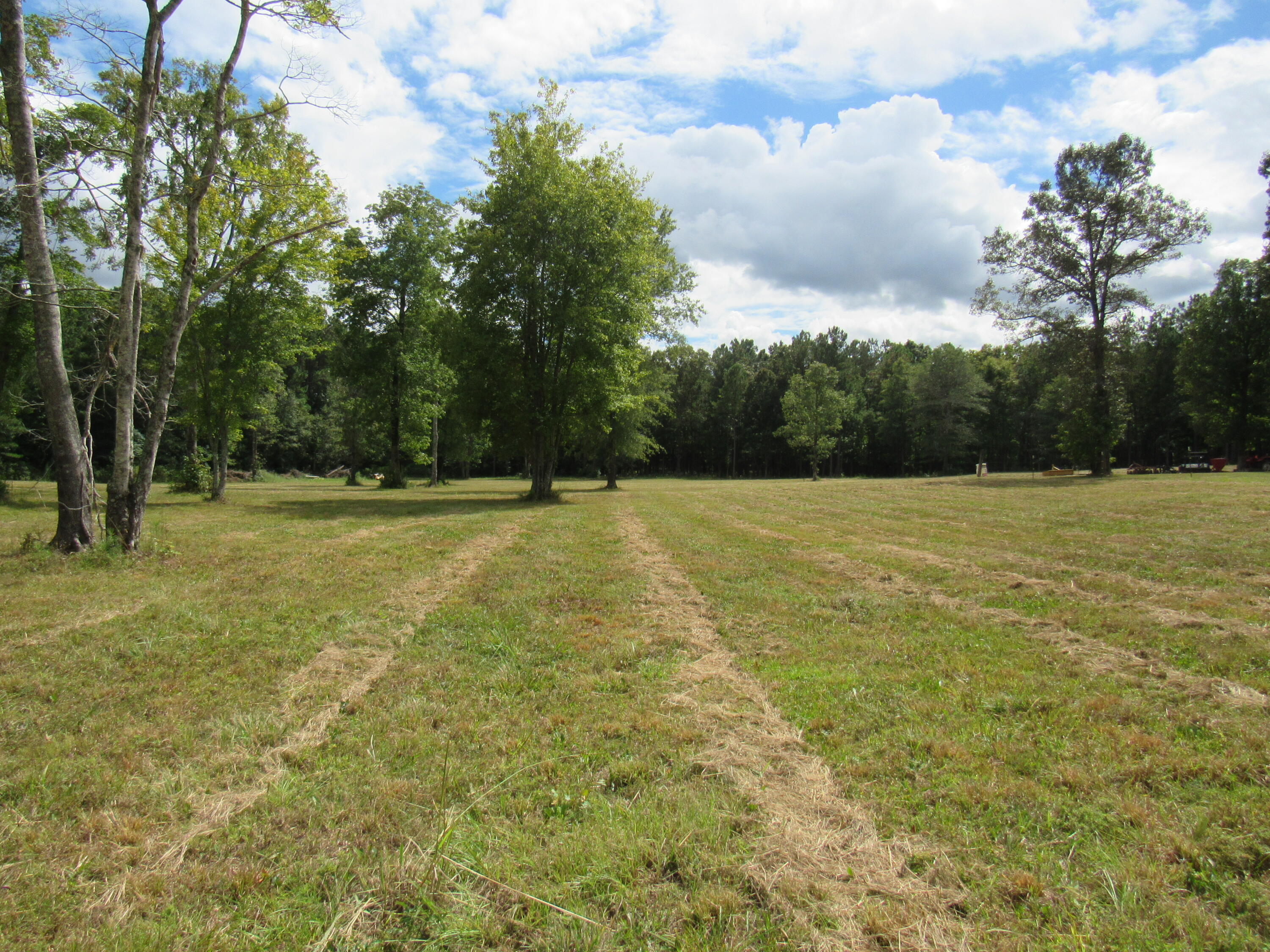 33 Simpkins Road Johnston, SC 29832 - Photo 6 of 70 IMG_2613
