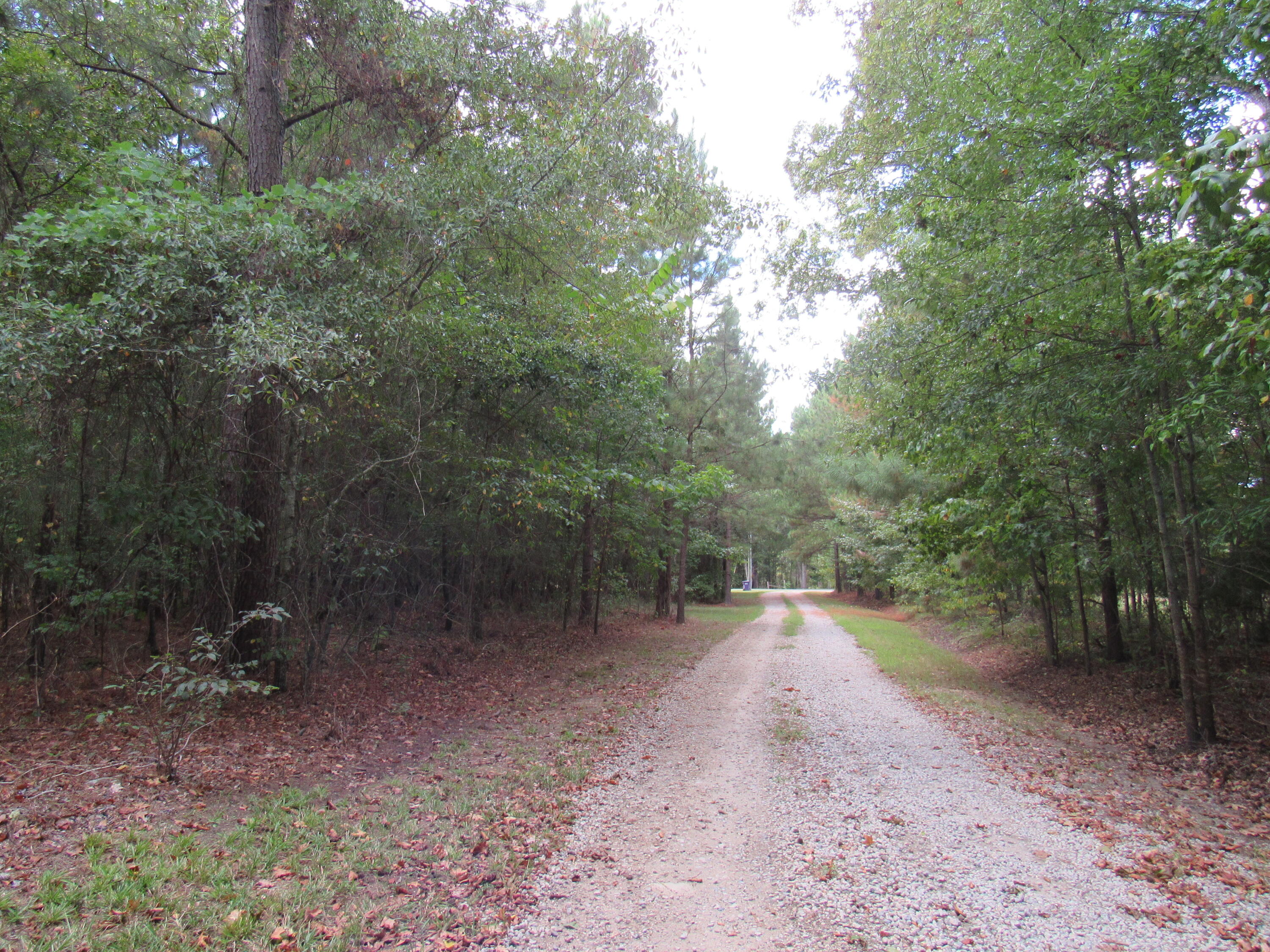 33 Simpkins Road Johnston, SC 29832 - Photo 65 of 70 IMG_2647
