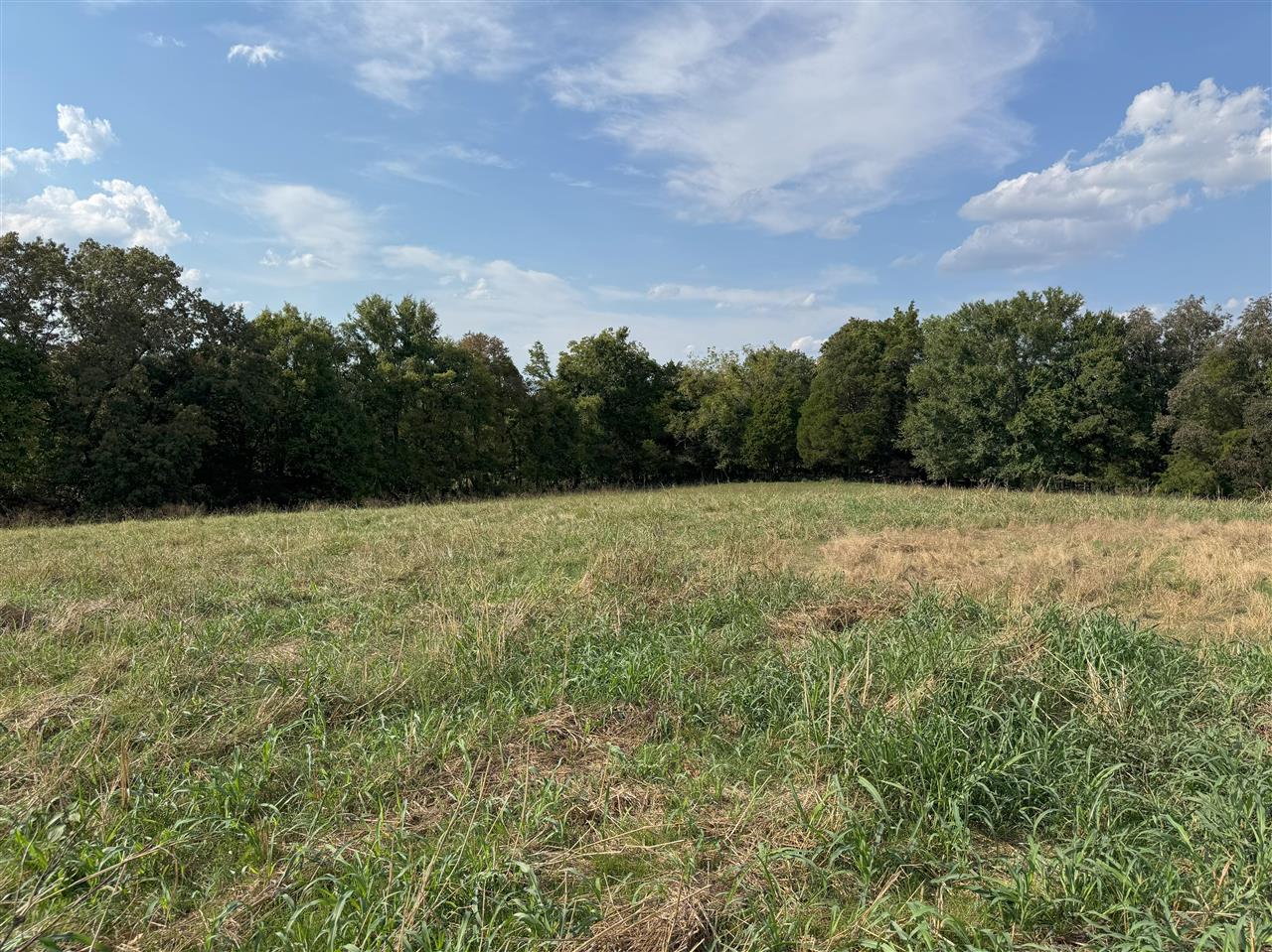 825 Friendship Church Road Scottsville, KY 42164 - Photo 14 of 32 Gallery Image 14