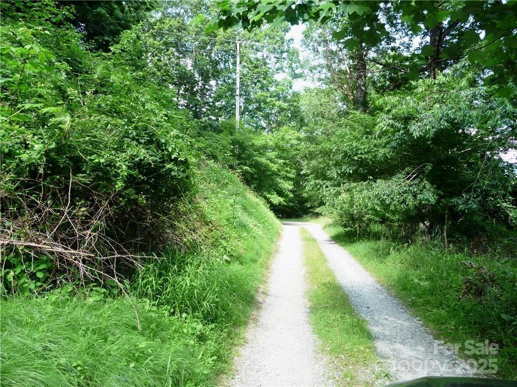 0 New River Heights Road, Unit 13 Boone, NC 28607 - Photo 5 of 7 a view of a pathway both side of yard