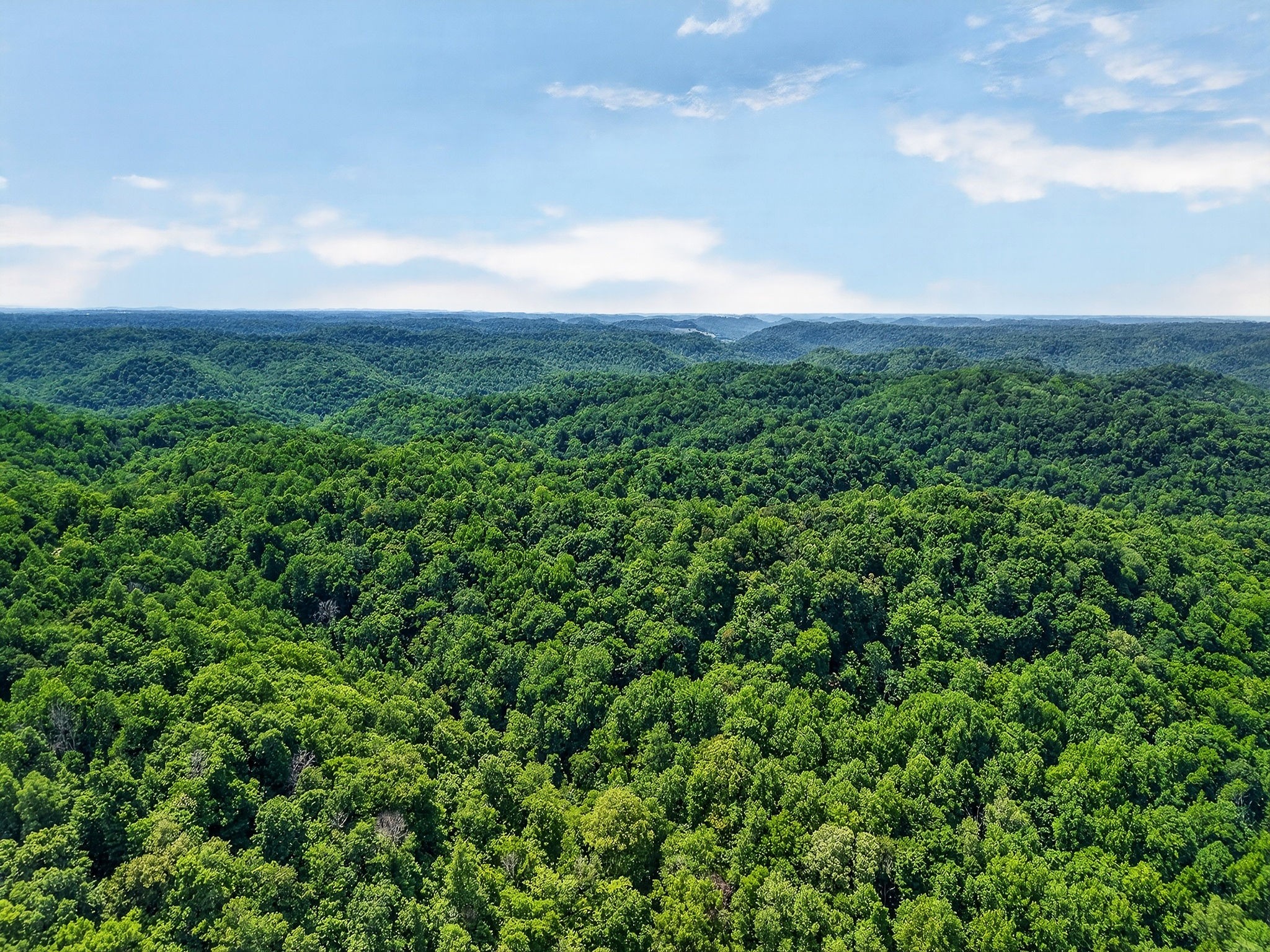 2926 Bryant Ridge Road Baxter, TN 38544 - Photo 48 of 64