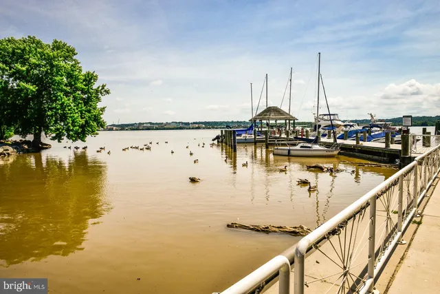 a view of a lake with boats in it