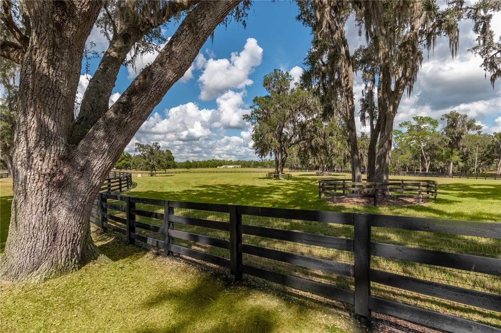 6140 Northwest 145th Avenue Road Morriston, FL 32668 - Photo 32 of 75 a view of a park with large trees