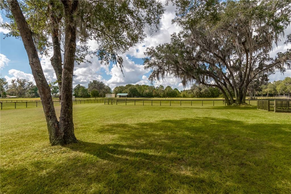 6140 Northwest 145th Avenue Road Morriston, FL 32668 - Photo 33 of 75